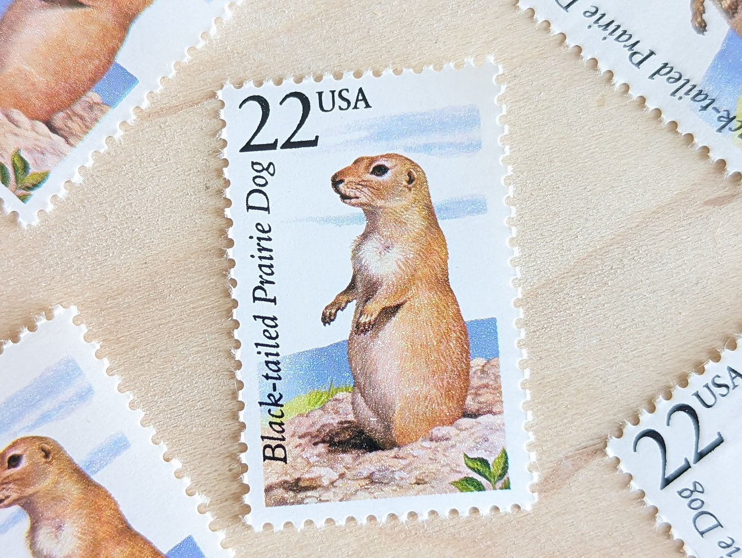Black-Tailed Prairie Dog, Set of 5, Vintage Unused USPS 22 Cent Postage Stamps, North American Wildlife Series 1987, Gummed