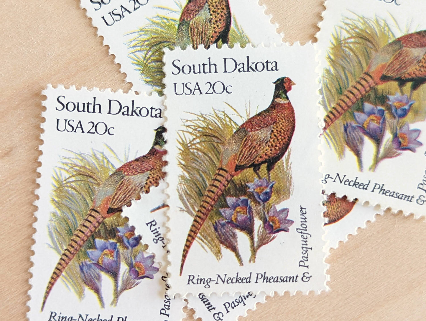 South Dakota State Stamp, Set of 5, Vintage Unused USPS 20 Cent Postage Stamps, State Bird and Flower 1982, Gummed