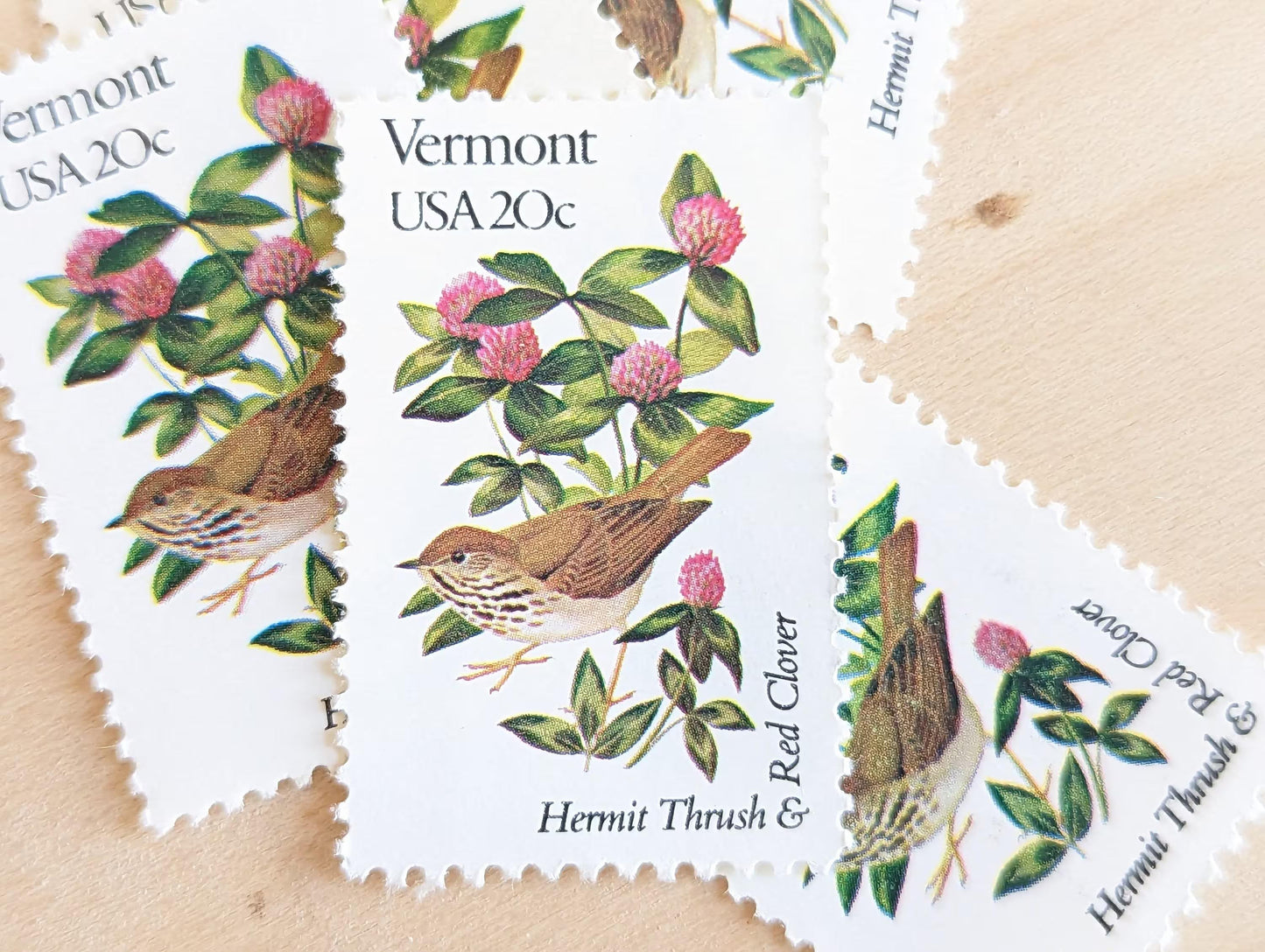 Vermont State Stamp, Set of 5, Vintage Unused USPS 20 Cent Postage Stamps, State Bird and Flower 1982, Gummed