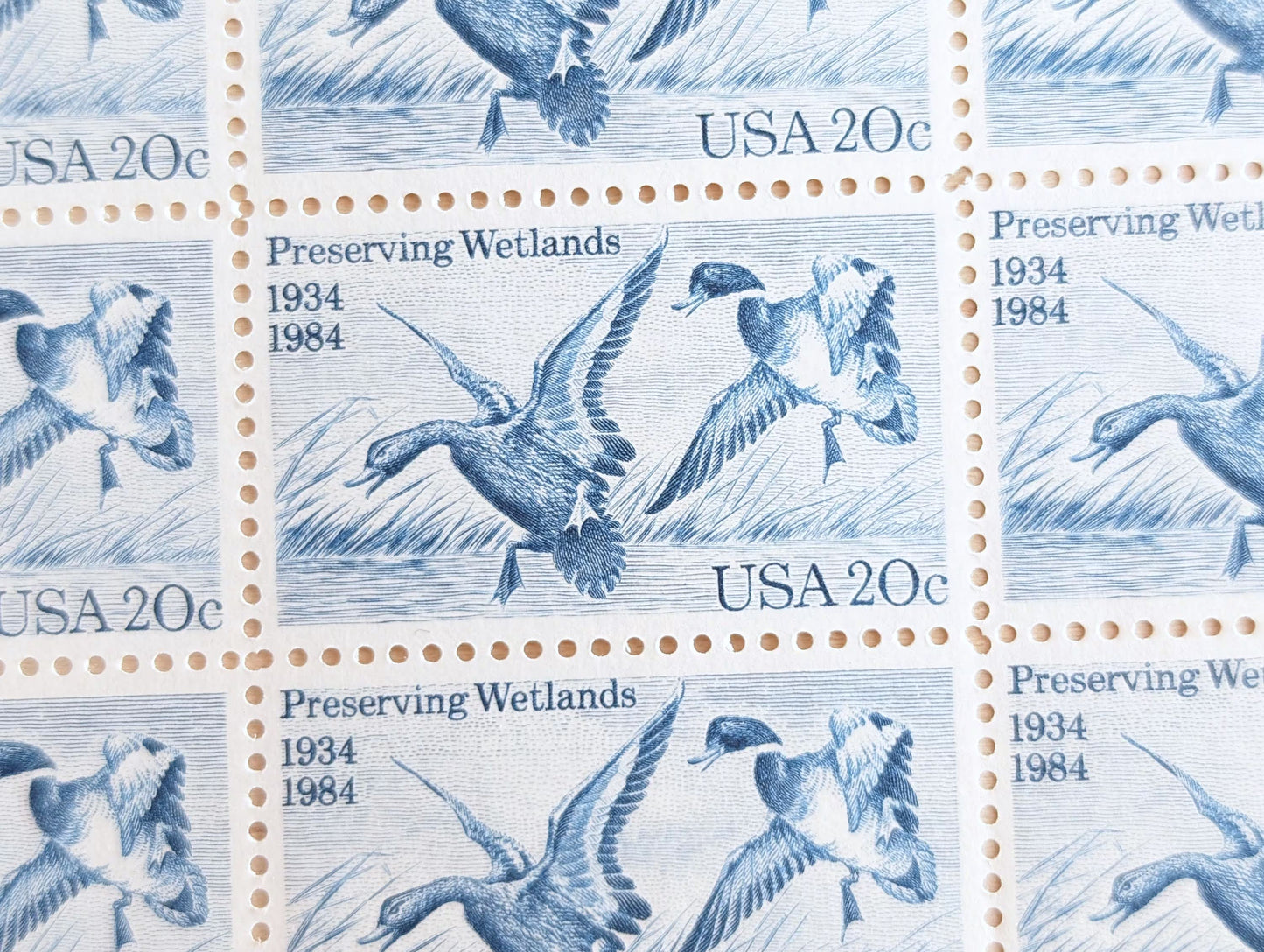Preserving Wetlands, Vintage Unused USPS 20 Cent Postage Stamps, Preserving Wetlands Stamps, 1984, Gummed