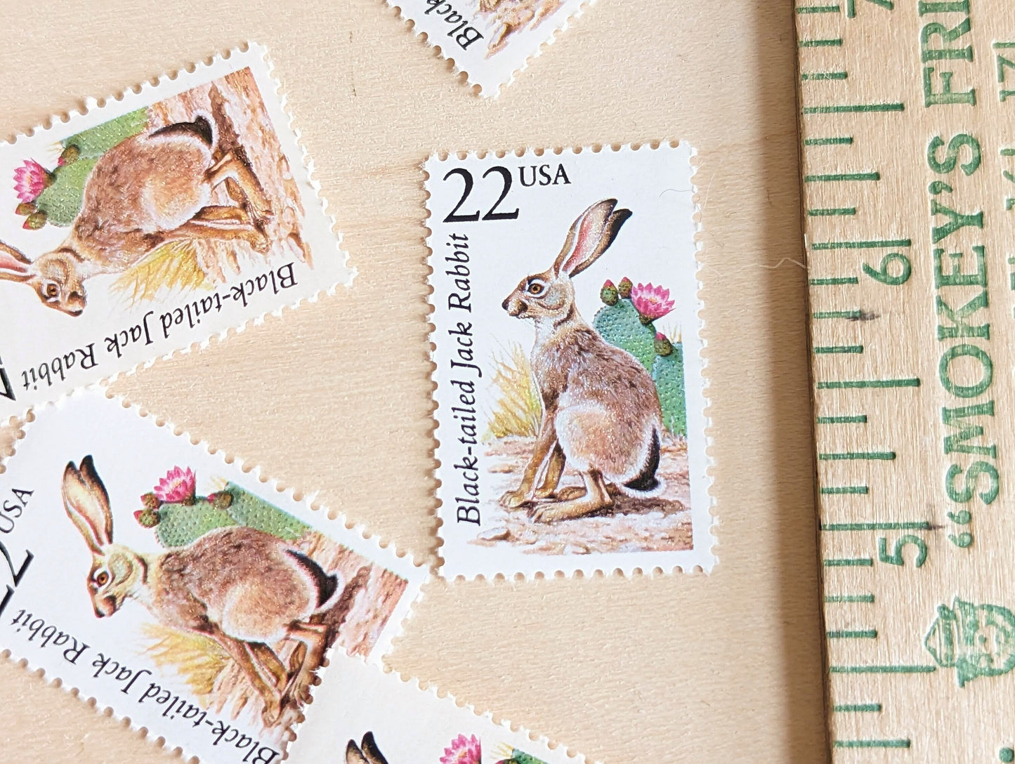 Black-Tailed Jack Rabbit, Set of 5, Vintage Unused USPS 22 Cent Postage Stamps, North American Wildlife Series 1987, Gummed