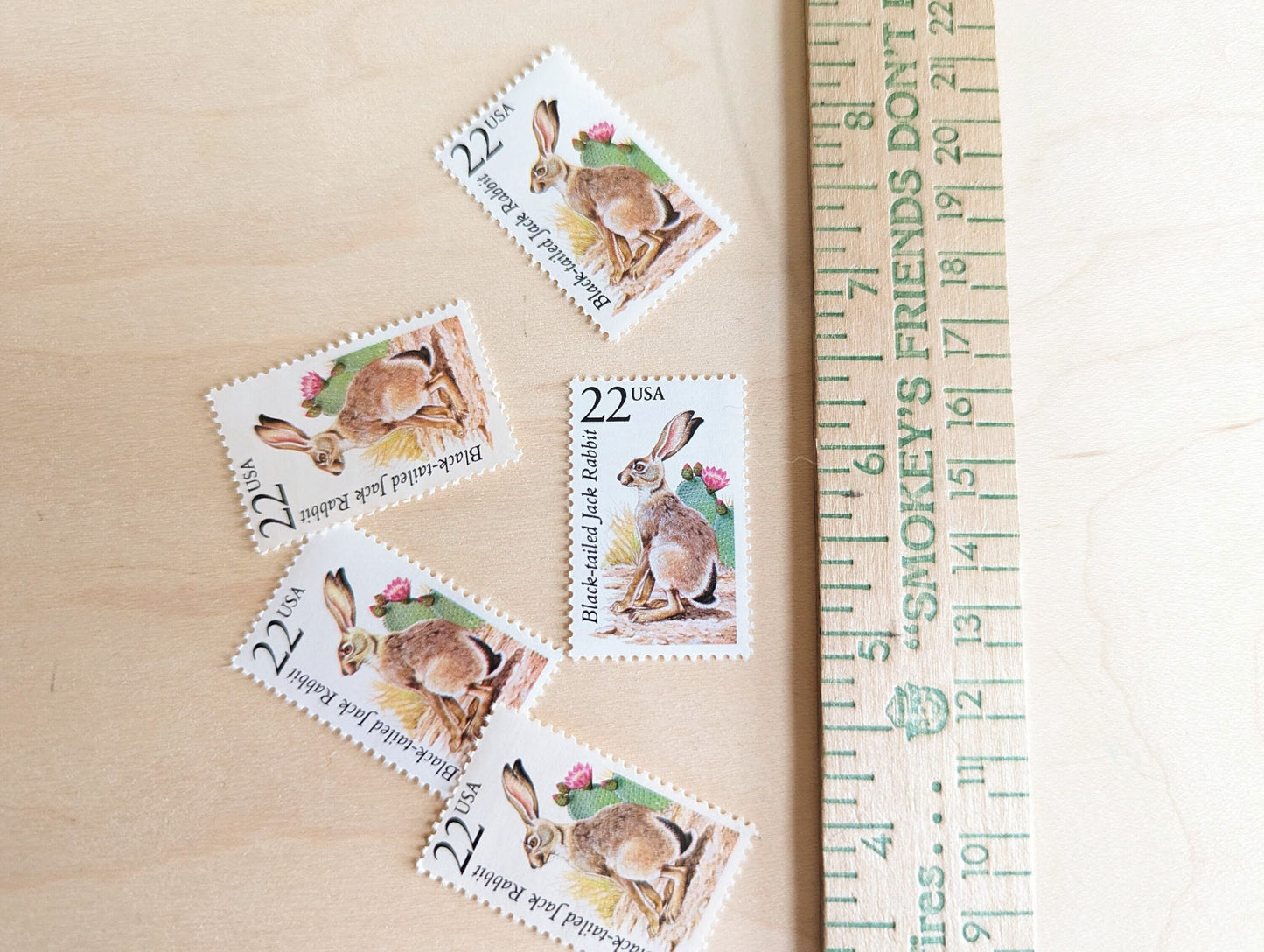 Black-Tailed Jack Rabbit, Set of 5, Vintage Unused USPS 22 Cent Postage Stamps, North American Wildlife Series 1987, Gummed