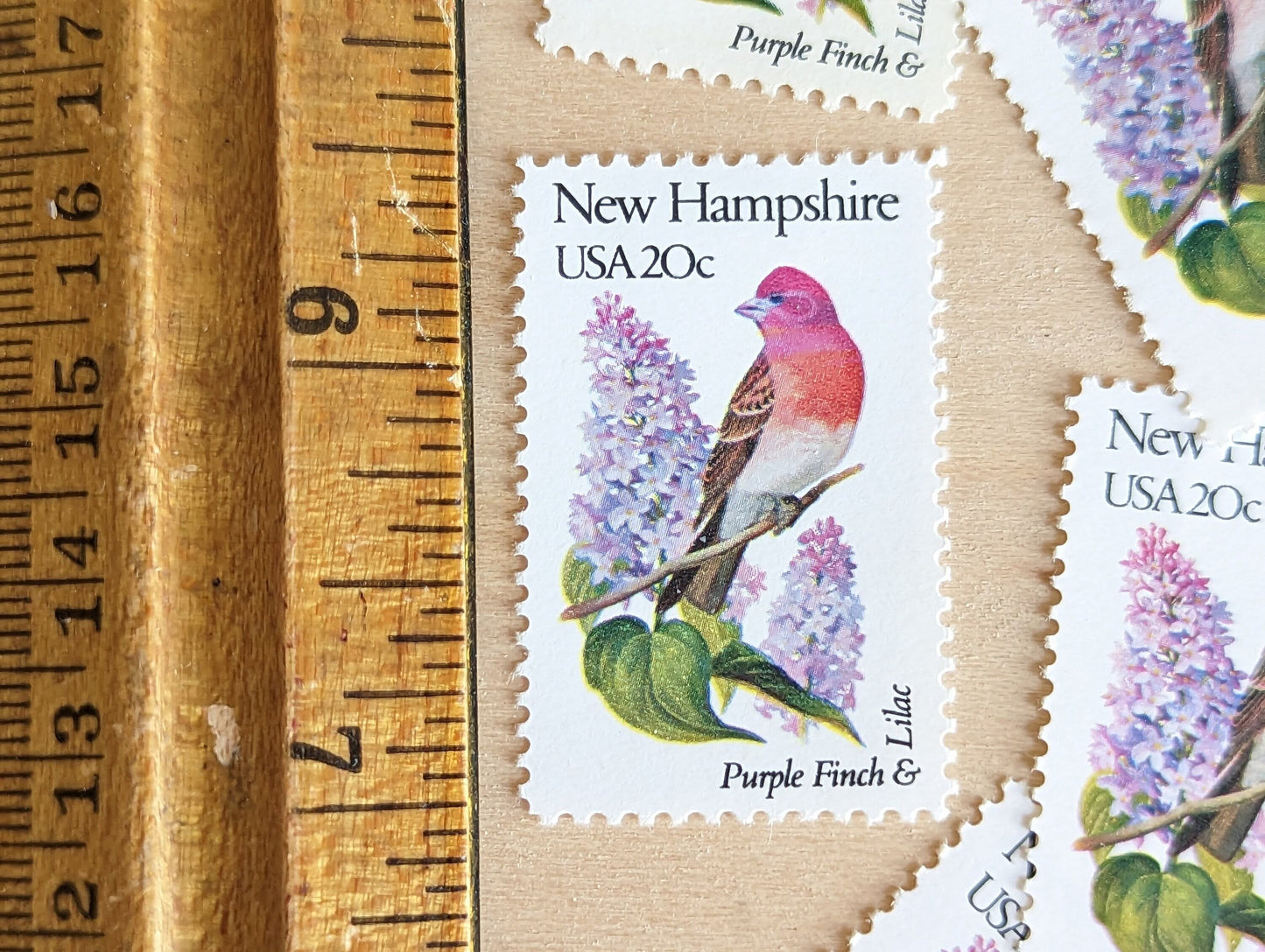 New Hampshire State Stamps, Set of 5, Vintage Unused USPS 20 Cent Postage Stamps, State Bird and Flower 1982, Gummed
