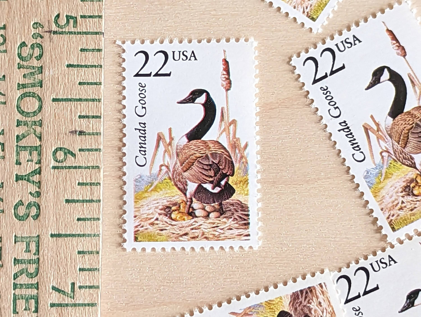 Canada Goose, Set of 5, Vintage Unused USPS 22 Cent Postage Stamps, North American Wildlife Series 1987, Gummed