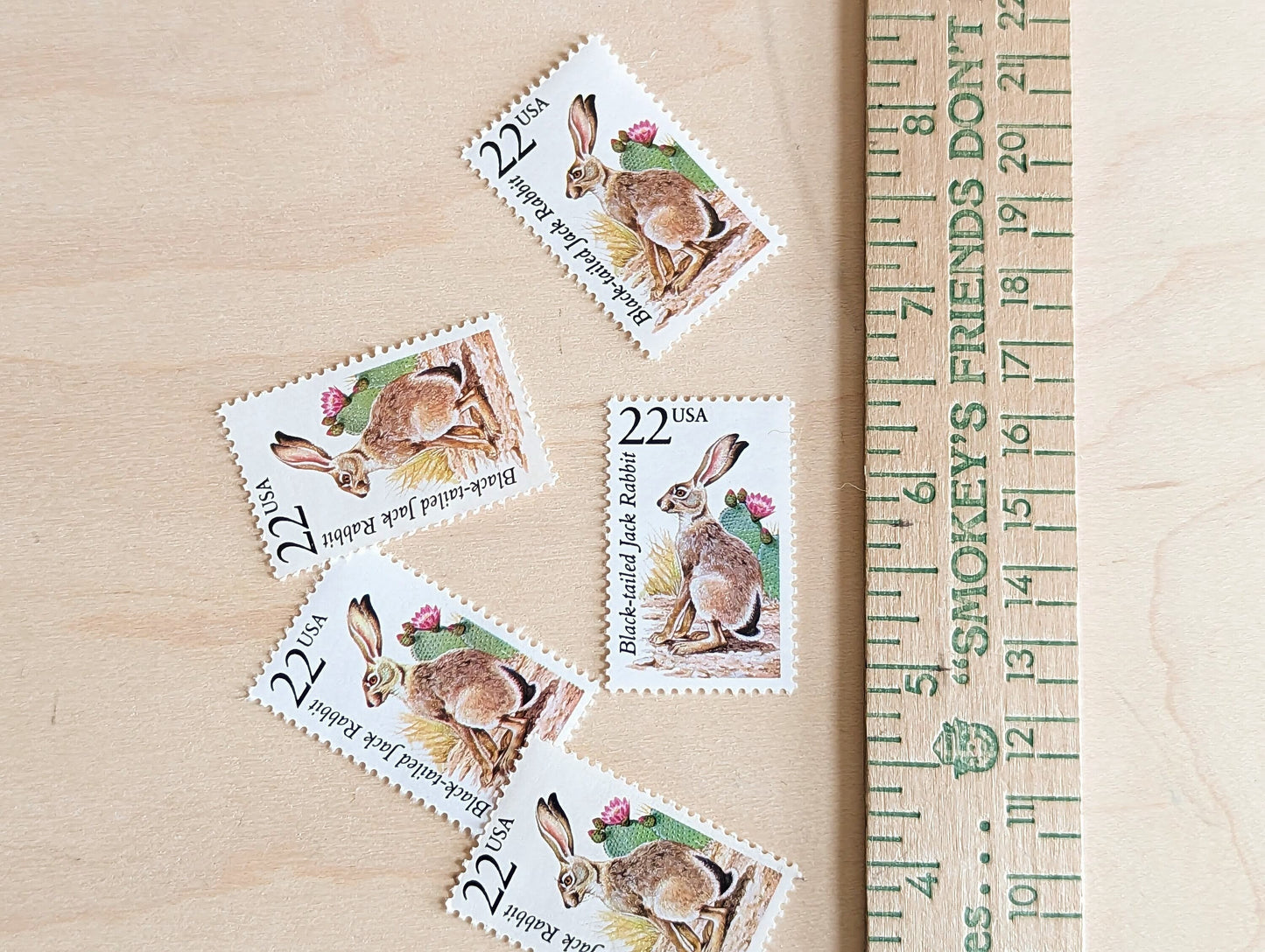 Black-Tailed Jack Rabbit, Set of 5, Vintage Unused USPS 22 Cent Postage Stamps, North American Wildlife Series 1987, Gummed