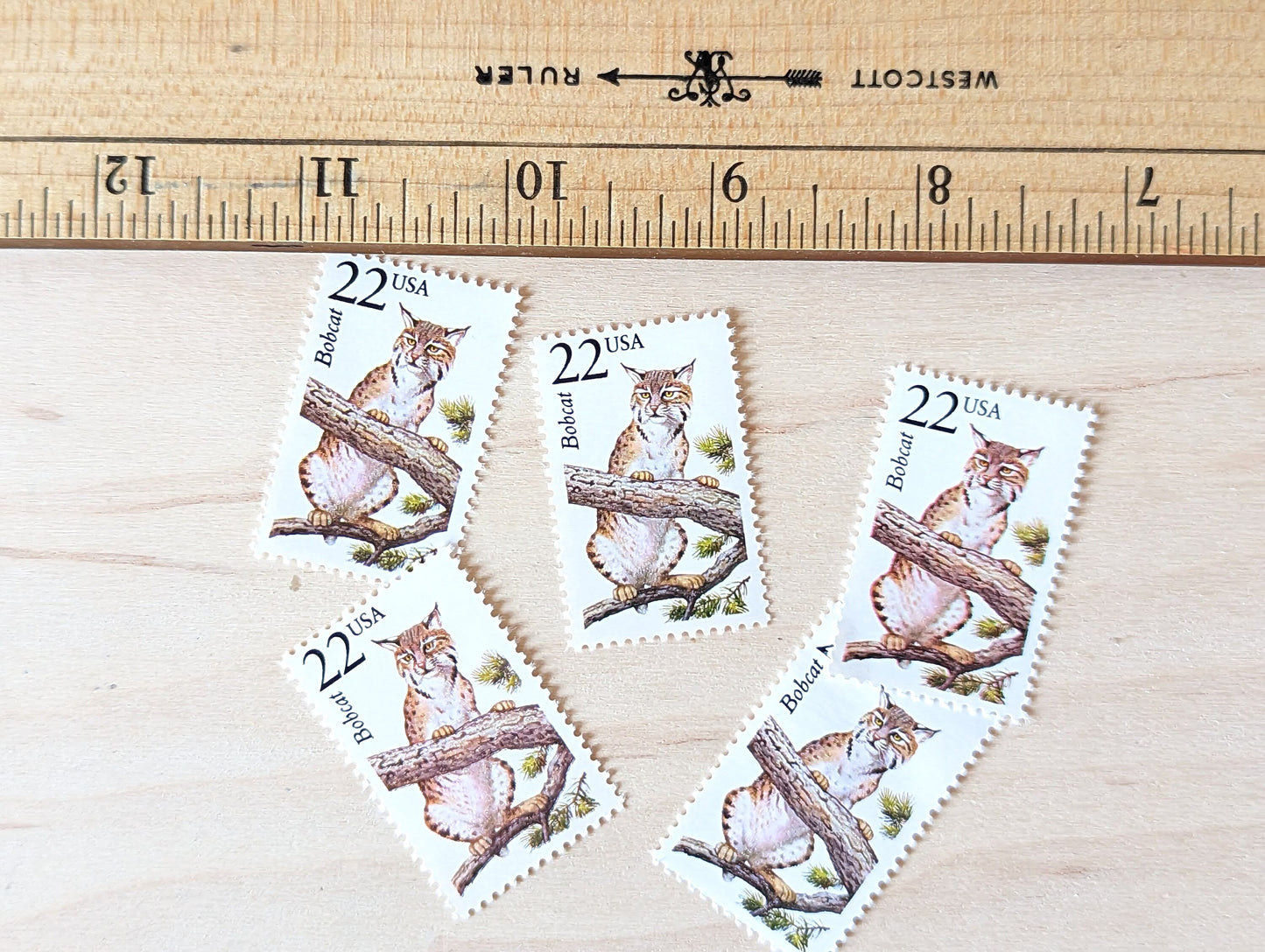 Bobcat, Set of 5, Vintage Unused USPS 22 Cent Postage Stamps, North American Wildlife Series 1987, Gummed