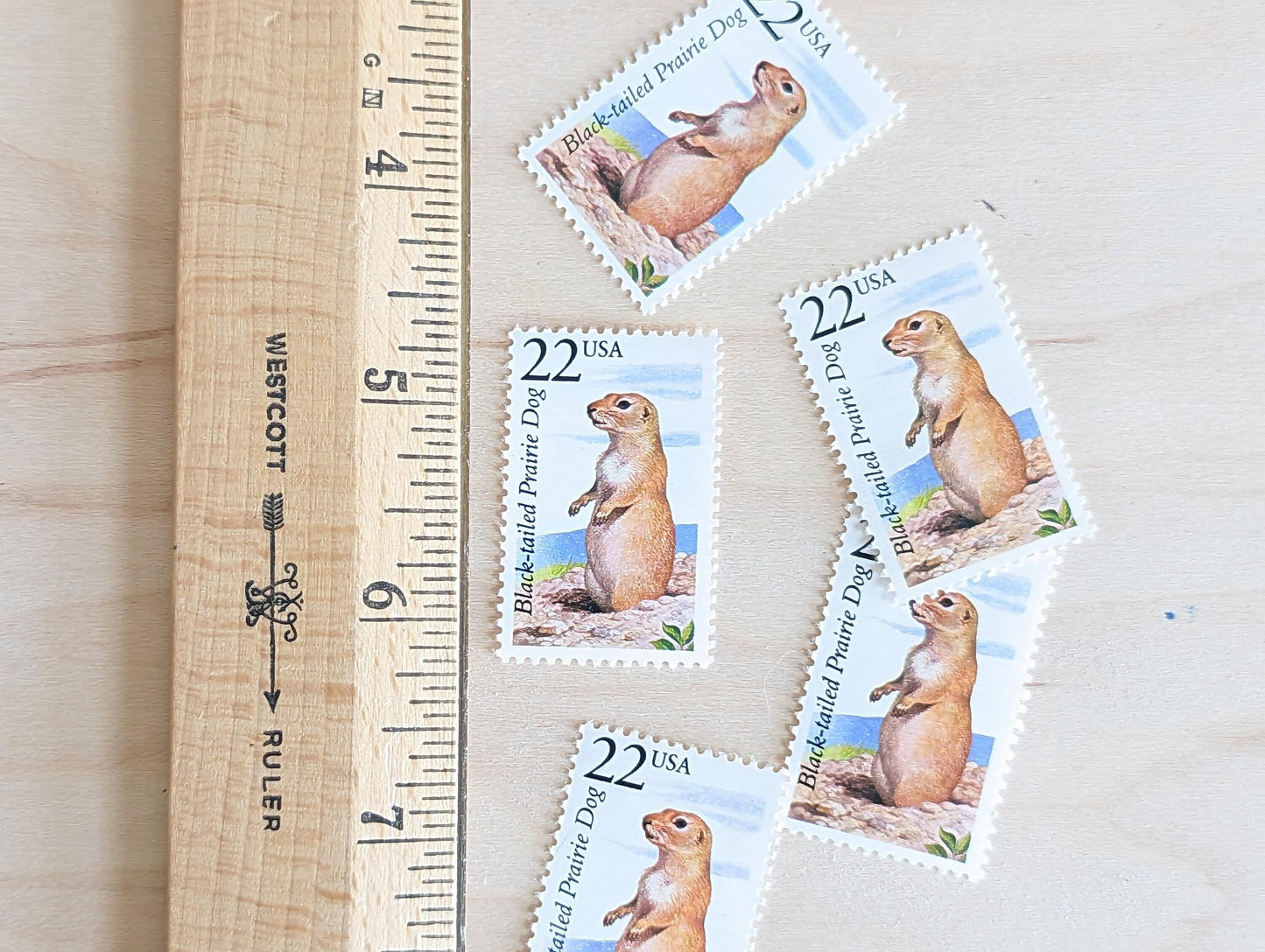 Black-Tailed Prairie Dog, Set of 5, Vintage Unused USPS 22 Cent Postage Stamps, North American Wildlife Series 1987, Gummed