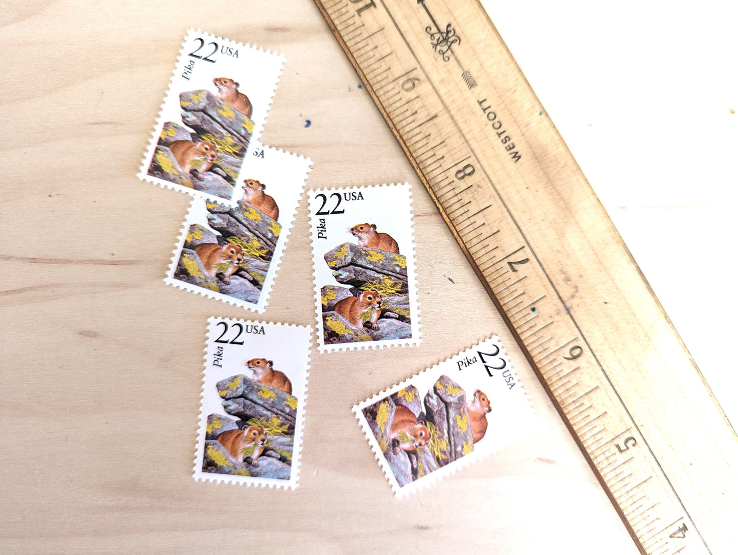 Pika, Set of 5, Vintage Unused USPS 22 Cent Postage Stamps, North American Wildlife Series 1987, Gummed