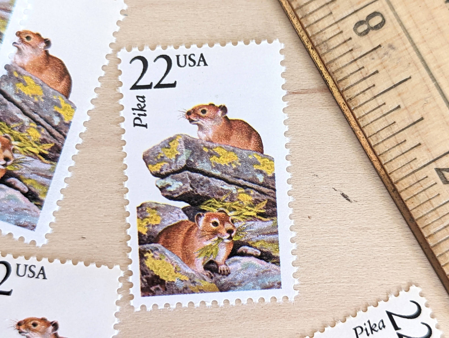 Pika, Set of 5, Vintage Unused USPS 22 Cent Postage Stamps, North American Wildlife Series 1987, Gummed