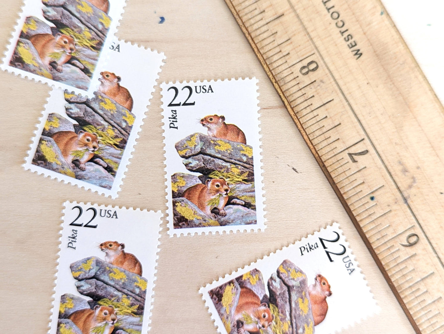 Pika, Set of 5, Vintage Unused USPS 22 Cent Postage Stamps, North American Wildlife Series 1987, Gummed