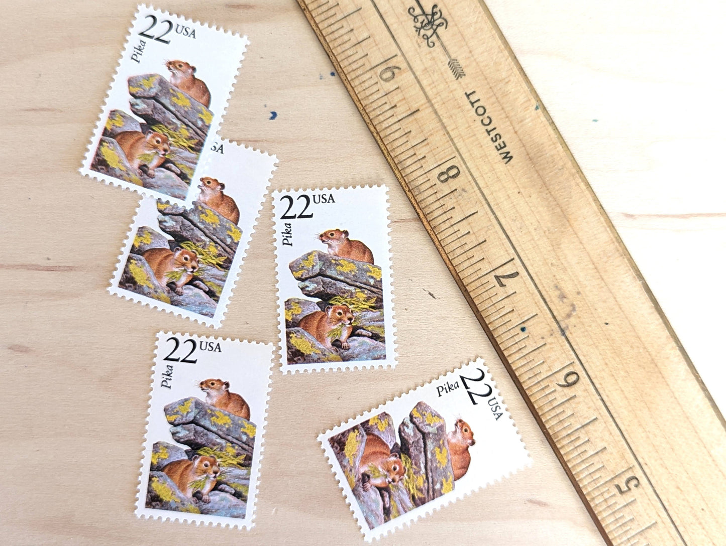 Pika, Set of 5, Vintage Unused USPS 22 Cent Postage Stamps, North American Wildlife Series 1987, Gummed