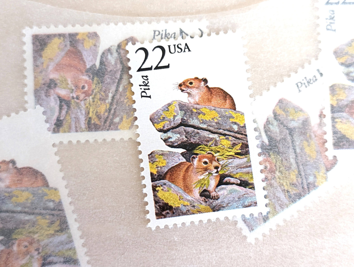 Pika, Set of 5, Vintage Unused USPS 22 Cent Postage Stamps, North American Wildlife Series 1987, Gummed