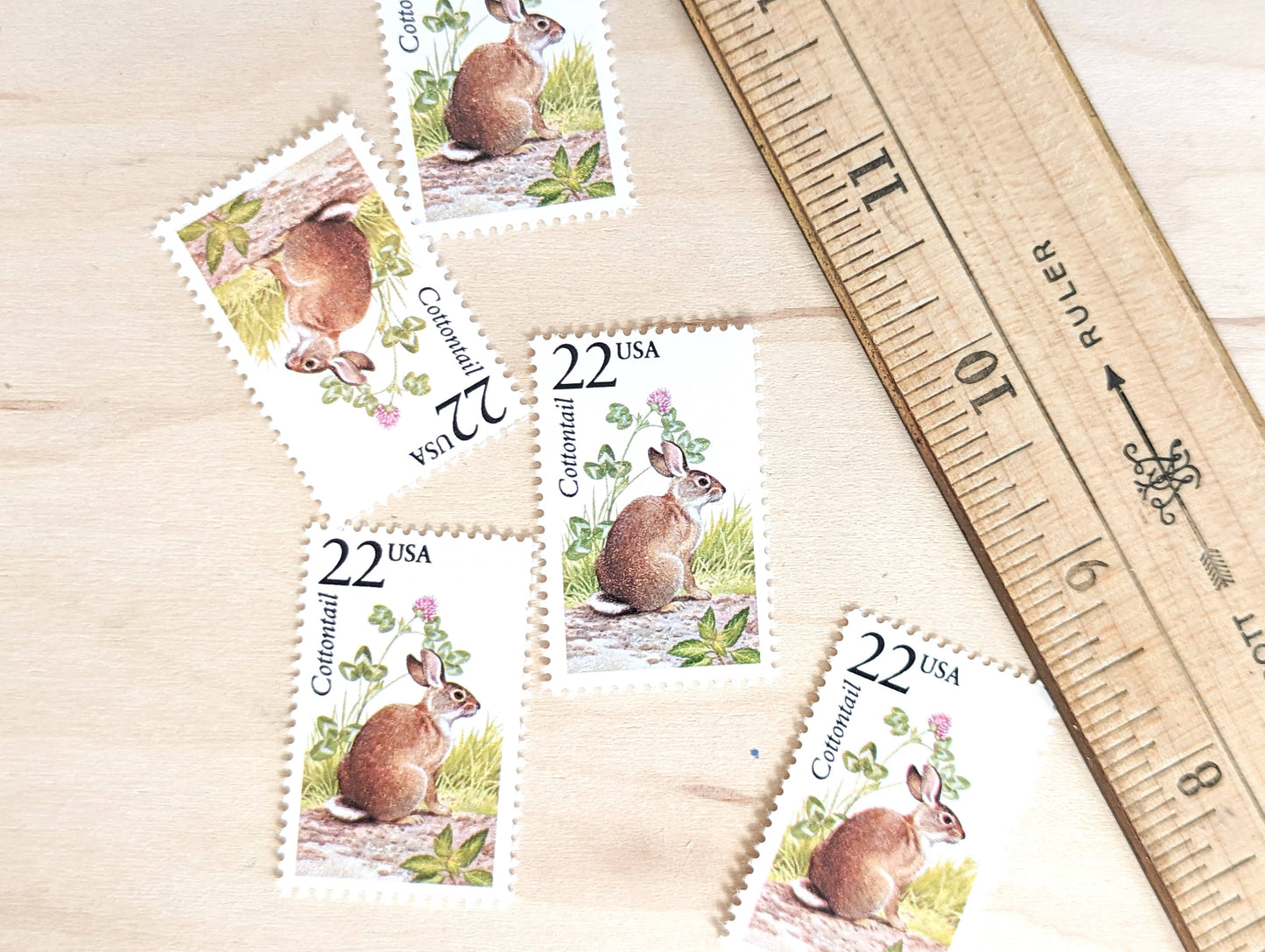 Cottontail, Set of 5, Vintage Unused USPS 22 Cent Postage Stamps, North American Wildlife Series 1987, Gummed