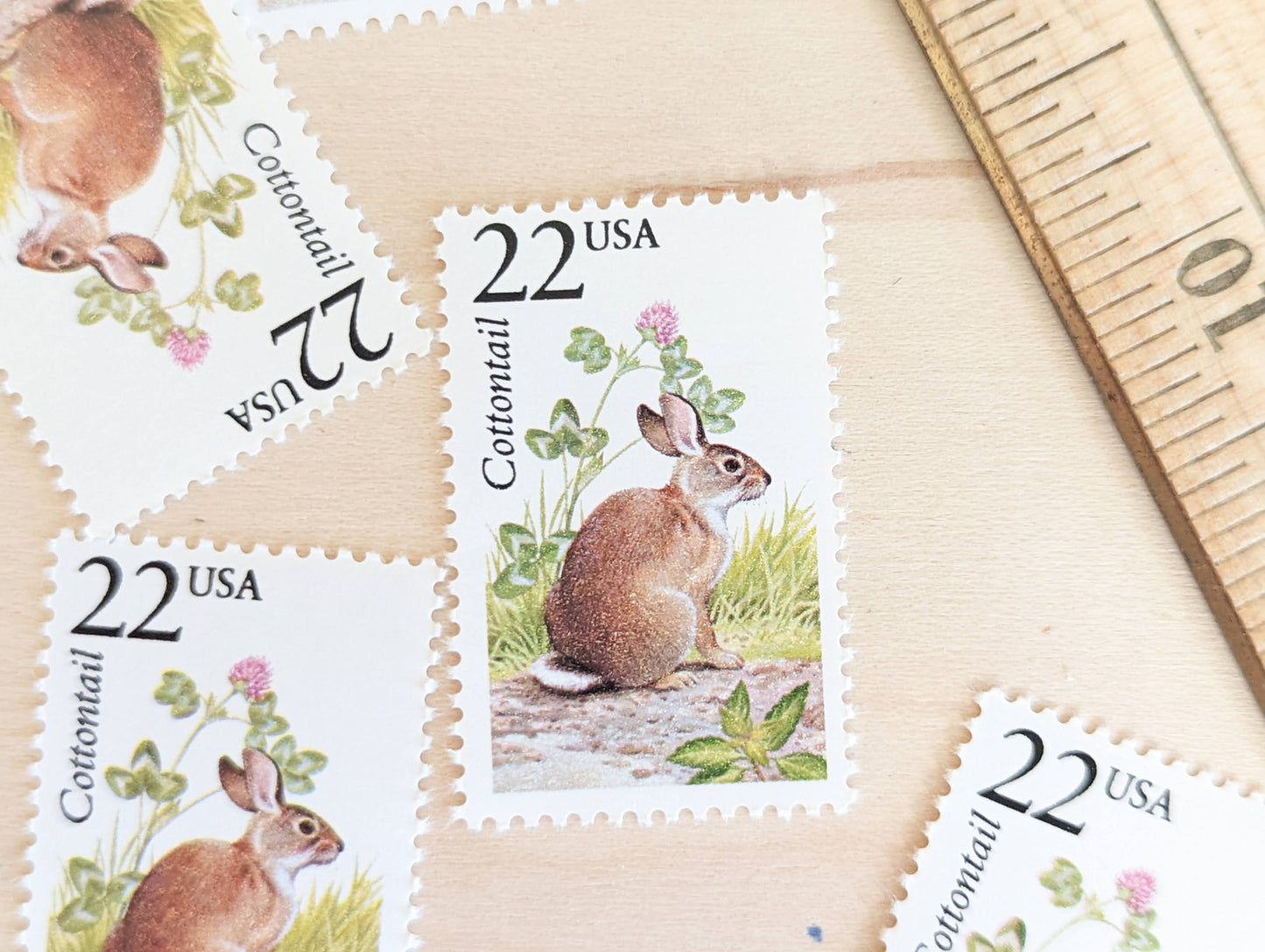 Cottontail, Set of 5, Vintage Unused USPS 22 Cent Postage Stamps, North American Wildlife Series 1987, Gummed