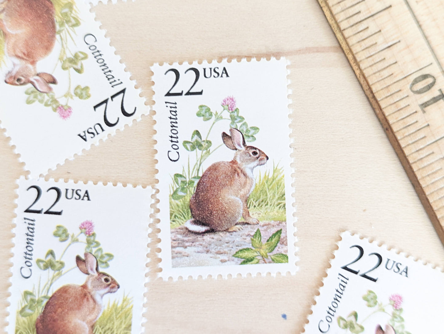 Cottontail, Set of 5, Vintage Unused USPS 22 Cent Postage Stamps, North American Wildlife Series 1987, Gummed
