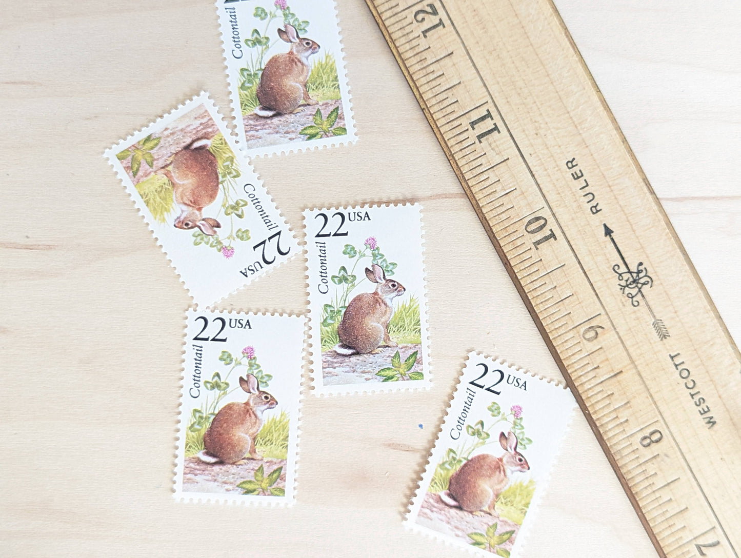 Cottontail, Set of 5, Vintage Unused USPS 22 Cent Postage Stamps, North American Wildlife Series 1987, Gummed