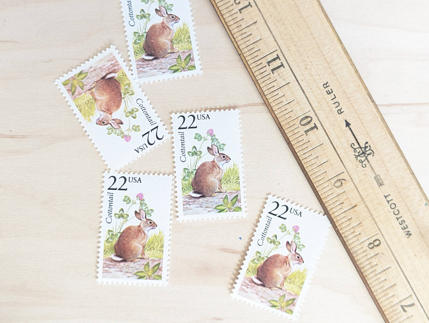 Cottontail, Set of 5, Vintage Unused USPS 22 Cent Postage Stamps, North American Wildlife Series 1987, Gummed
