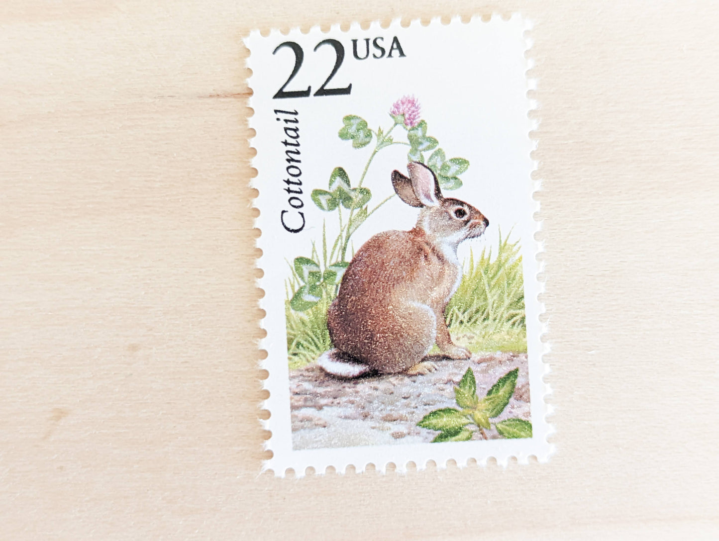 Cottontail, Set of 5, Vintage Unused USPS 22 Cent Postage Stamps, North American Wildlife Series 1987, Gummed