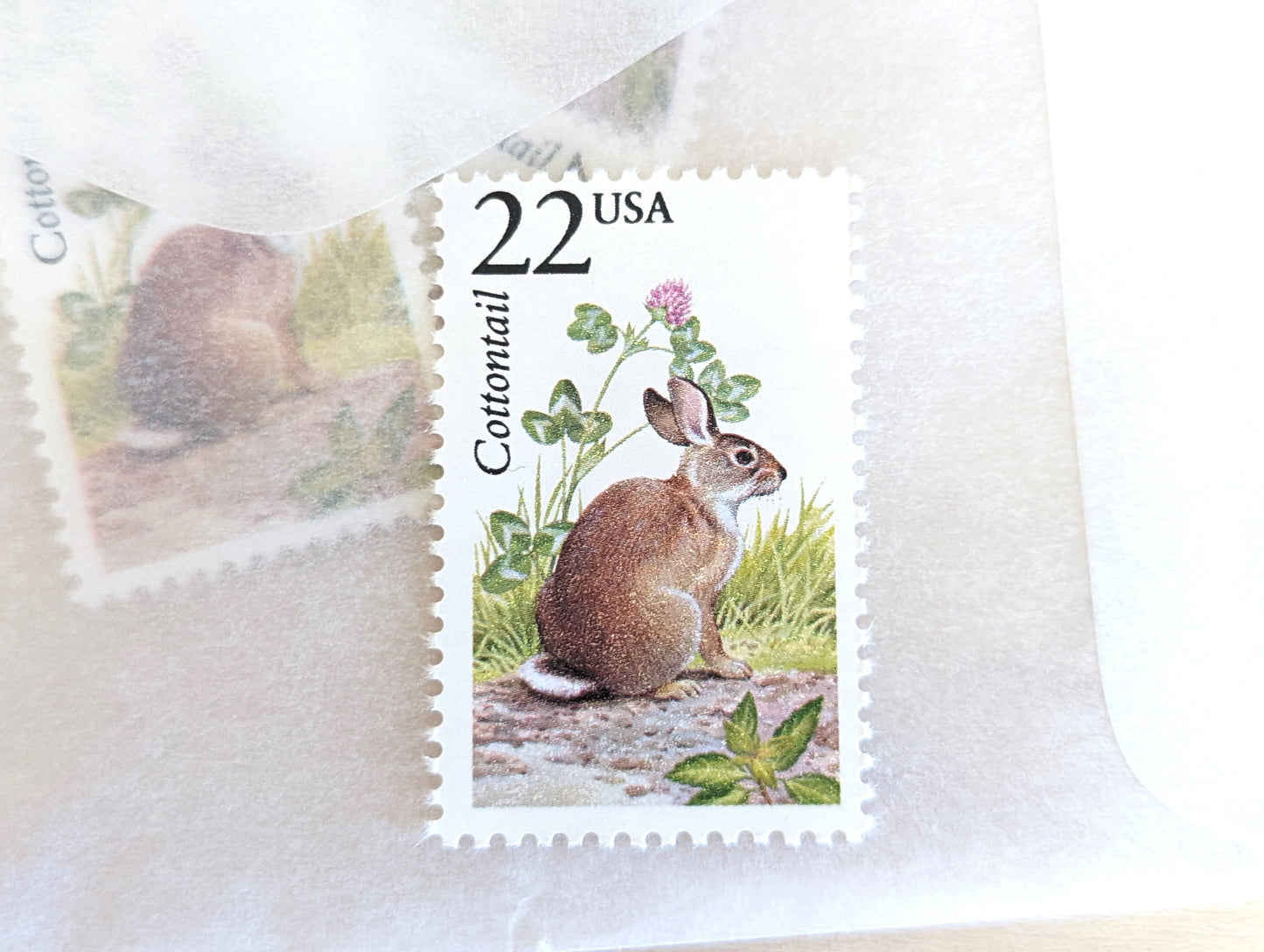Cottontail, Set of 5, Vintage Unused USPS 22 Cent Postage Stamps, North American Wildlife Series 1987, Gummed