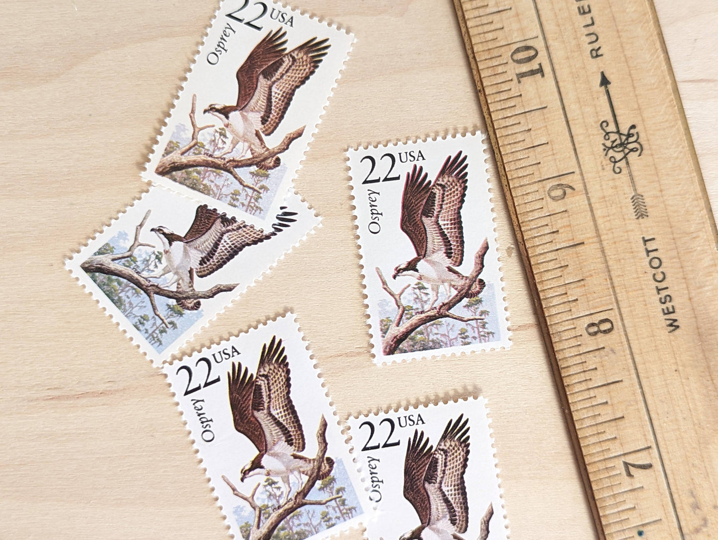 Osprey, Set of 5, Vintage Unused USPS 22 Cent Postage Stamps, North American Wildlife Series 1987, Gummed