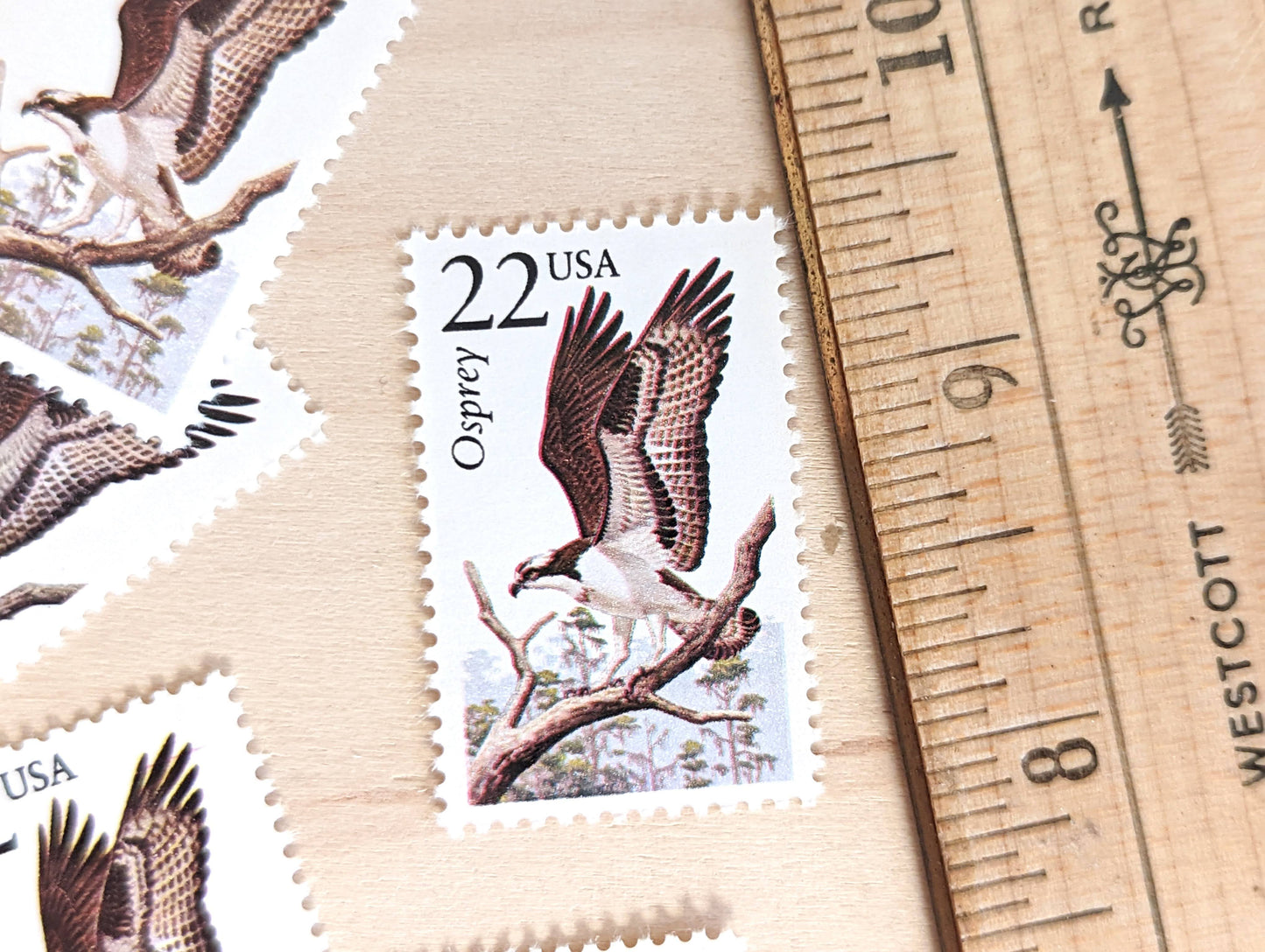 Osprey, Set of 5, Vintage Unused USPS 22 Cent Postage Stamps, North American Wildlife Series 1987, Gummed