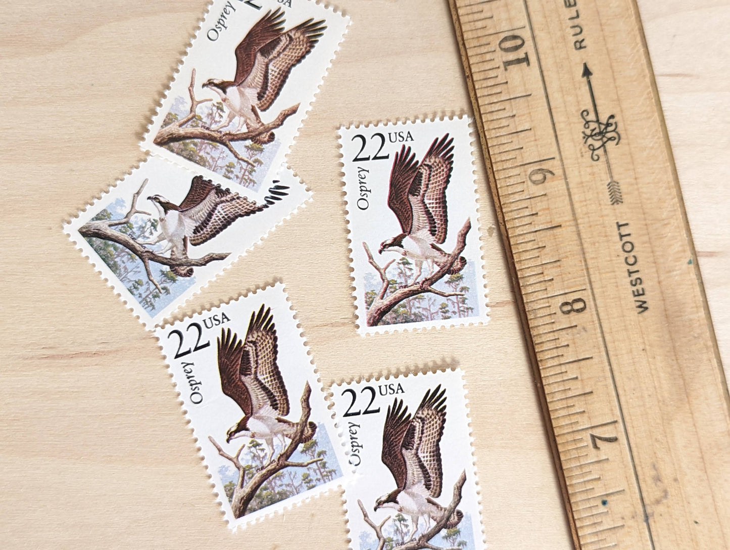 Osprey, Set of 5, Vintage Unused USPS 22 Cent Postage Stamps, North American Wildlife Series 1987, Gummed
