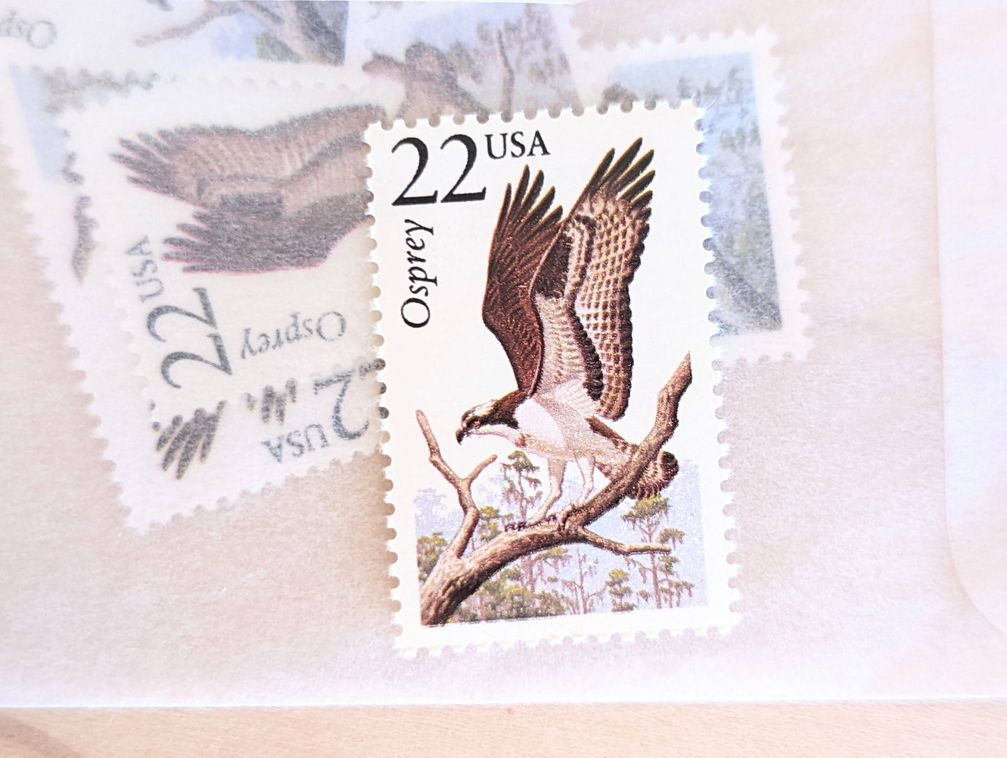 Osprey, Set of 5, Vintage Unused USPS 22 Cent Postage Stamps, North American Wildlife Series 1987, Gummed