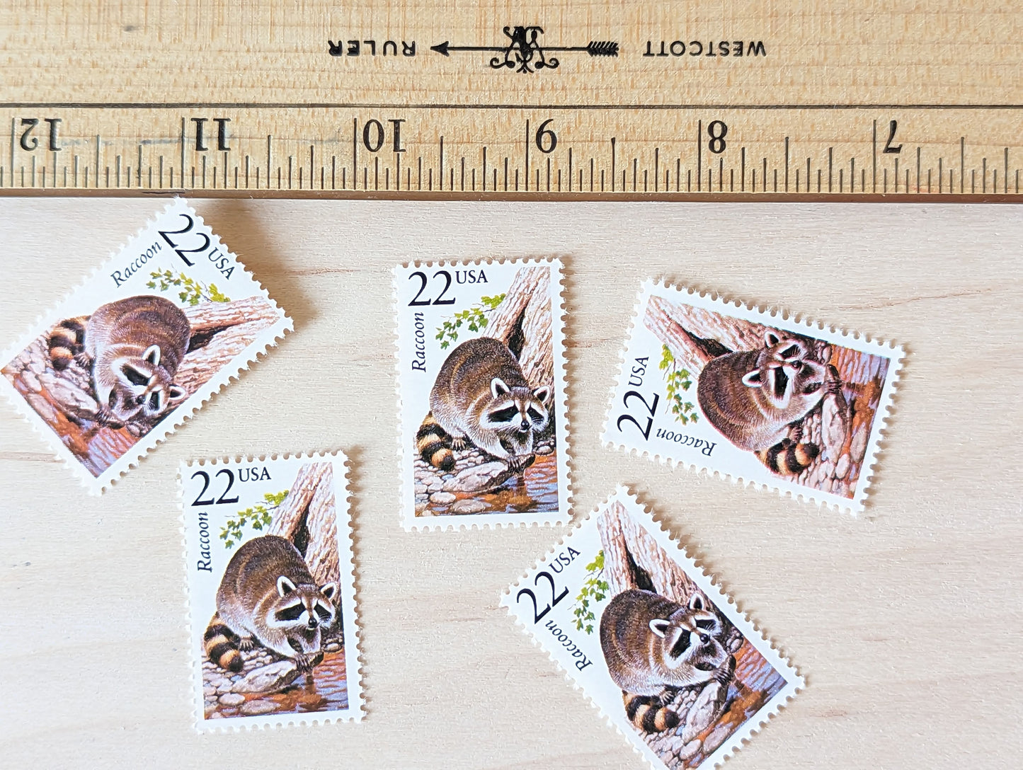Raccoon, Set of 5, Vintage Unused USPS 22 Cent Postage Stamps, North American Wildlife Series 1987, Gummed
