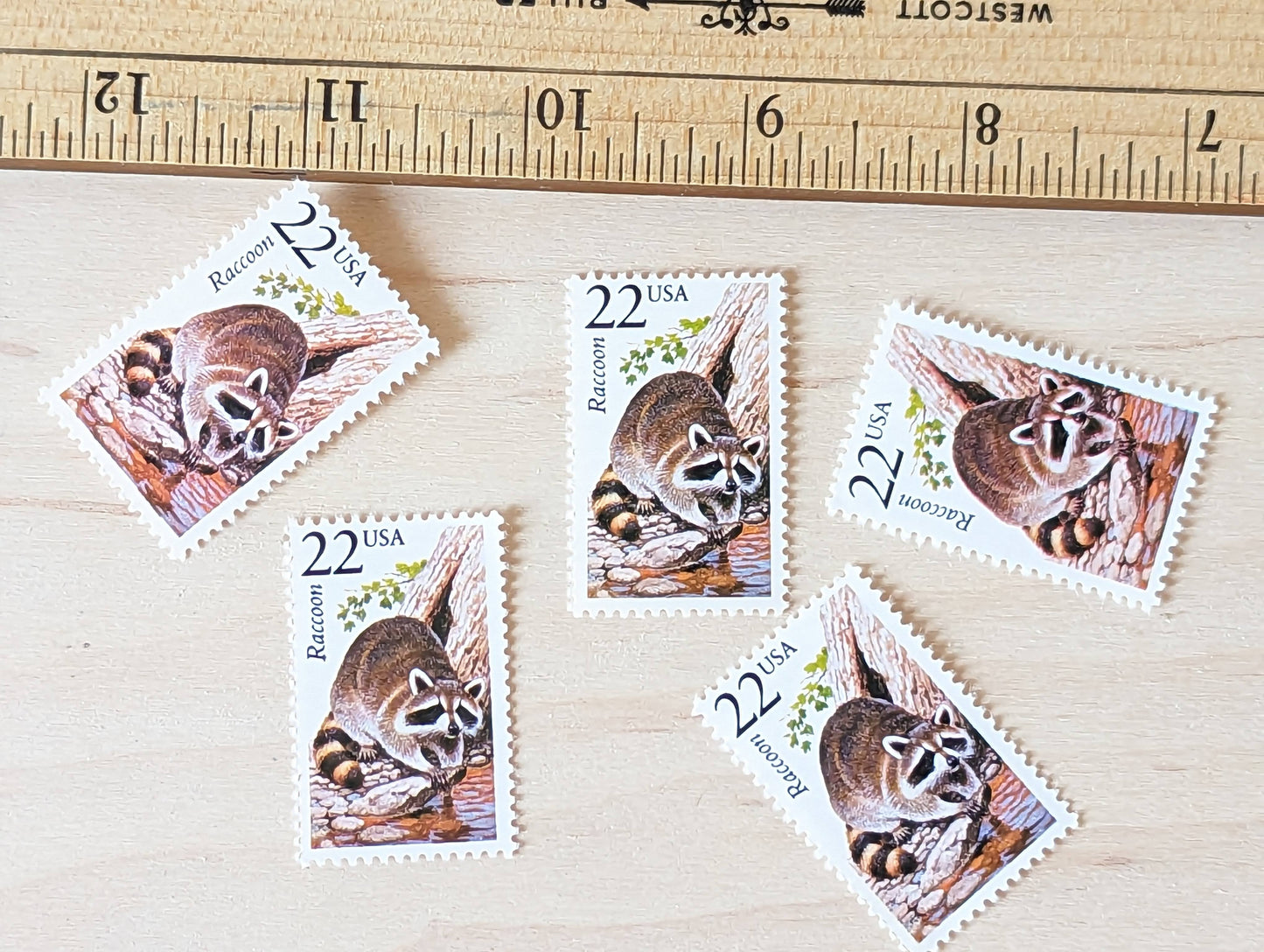 Raccoon, Set of 5, Vintage Unused USPS 22 Cent Postage Stamps, North American Wildlife Series 1987, Gummed