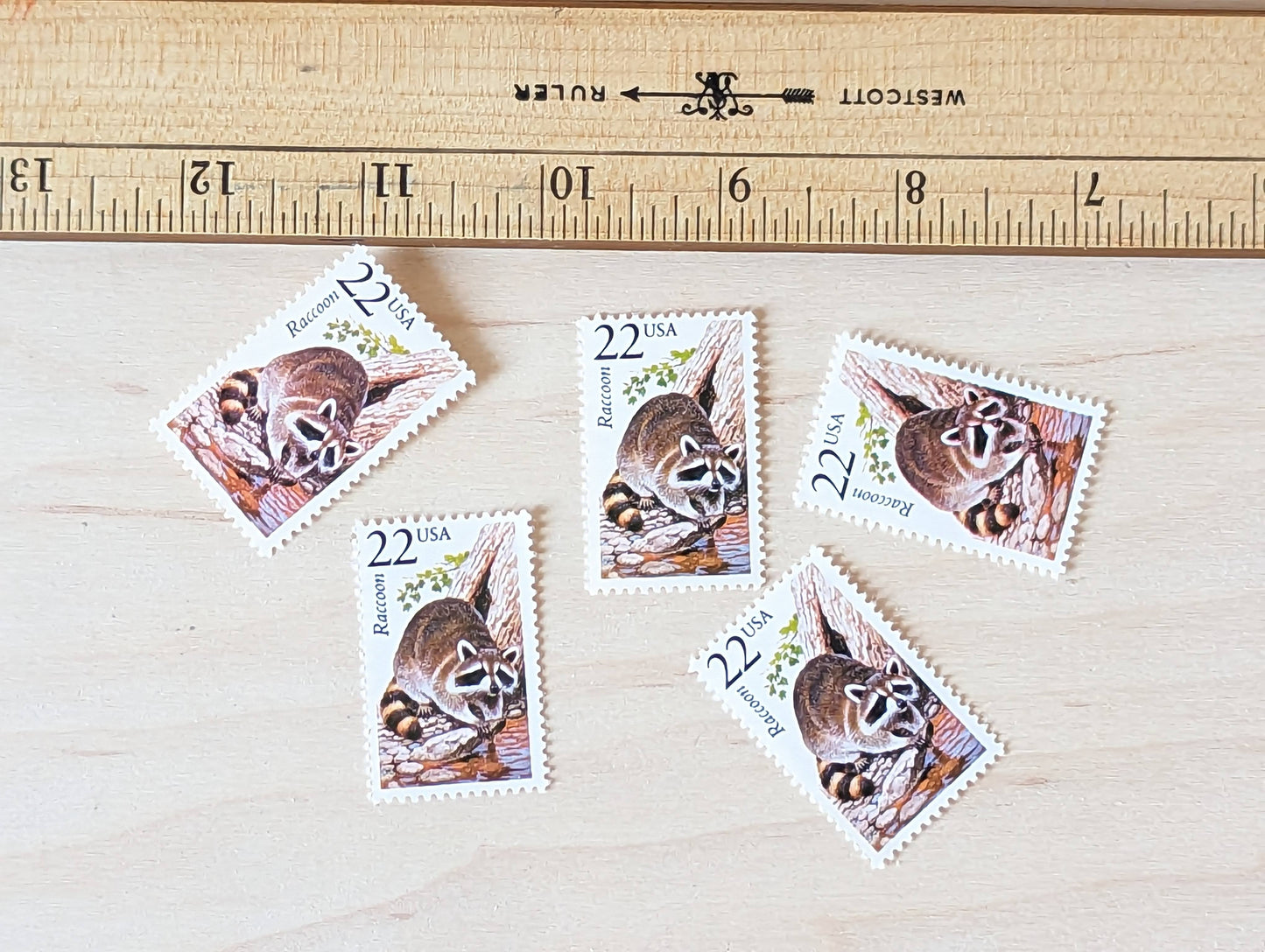 Raccoon, Set of 5, Vintage Unused USPS 22 Cent Postage Stamps, North American Wildlife Series 1987, Gummed