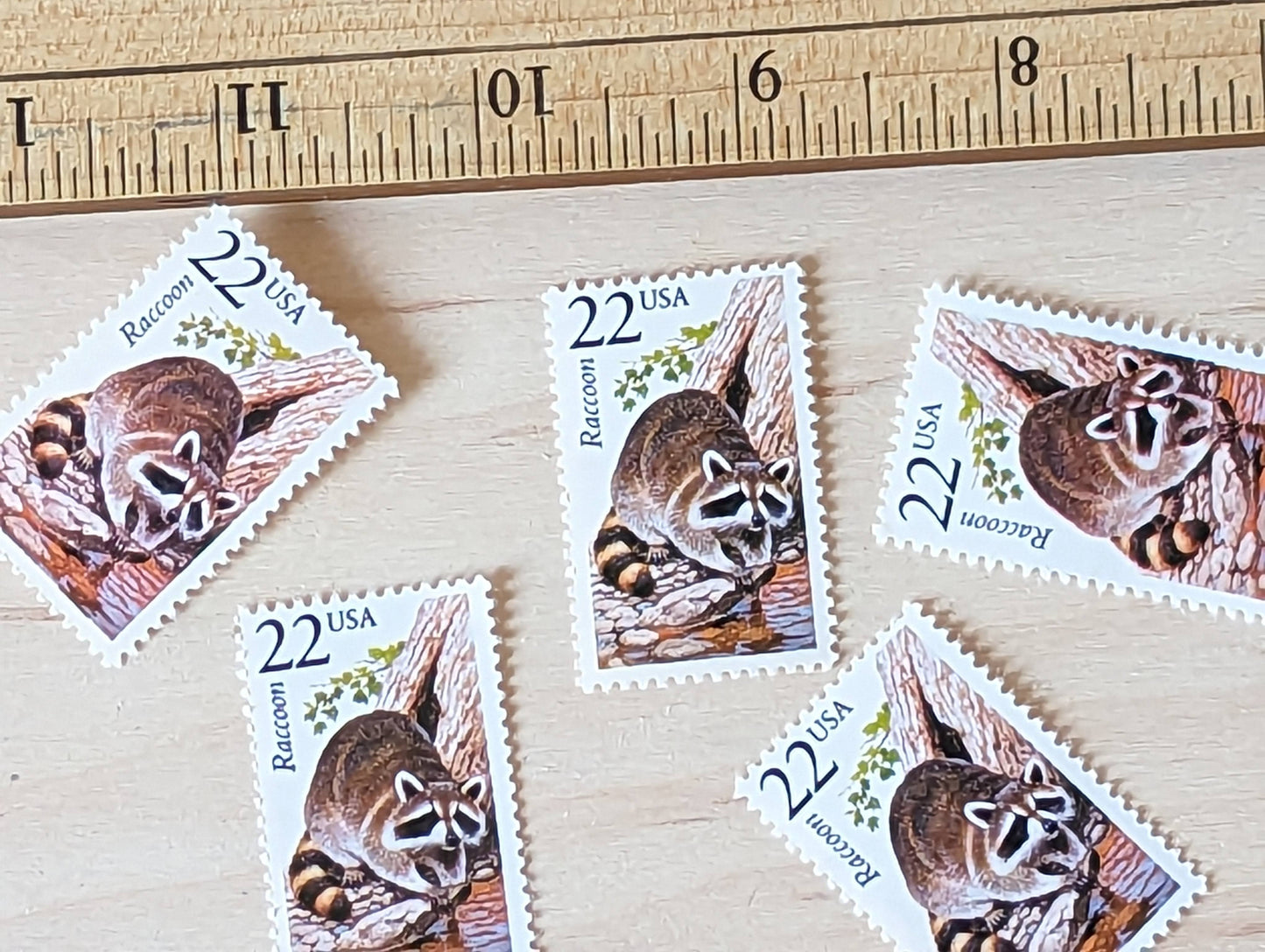 Raccoon, Set of 5, Vintage Unused USPS 22 Cent Postage Stamps, North American Wildlife Series 1987, Gummed