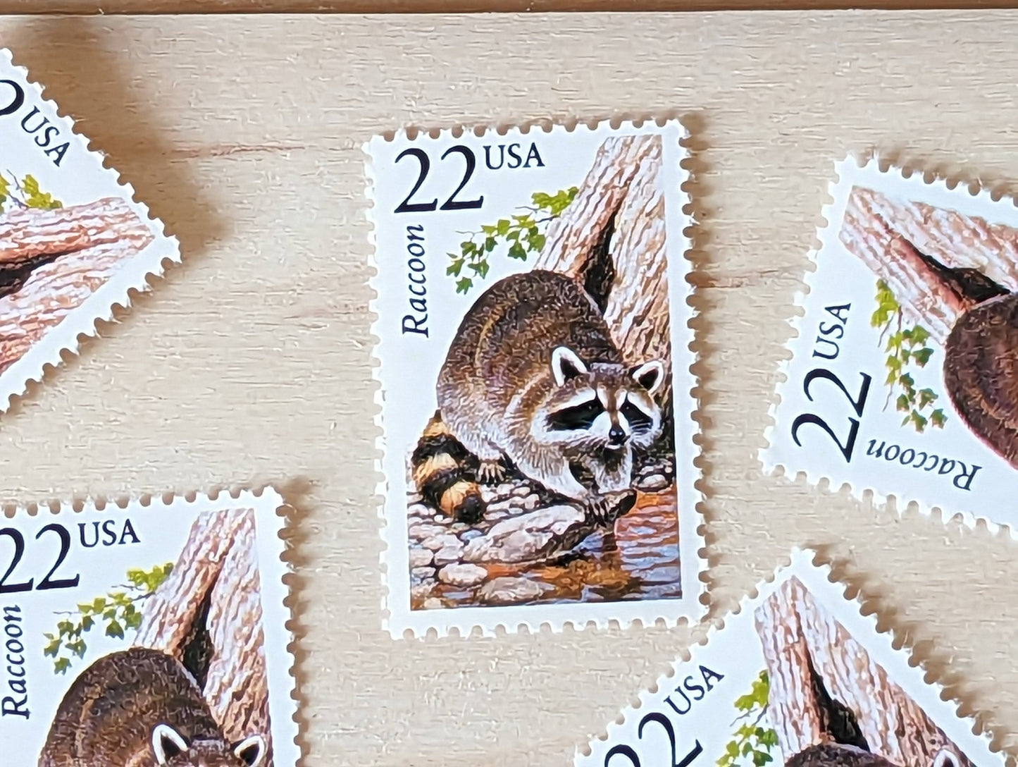Raccoon, Set of 5, Vintage Unused USPS 22 Cent Postage Stamps, North American Wildlife Series 1987, Gummed