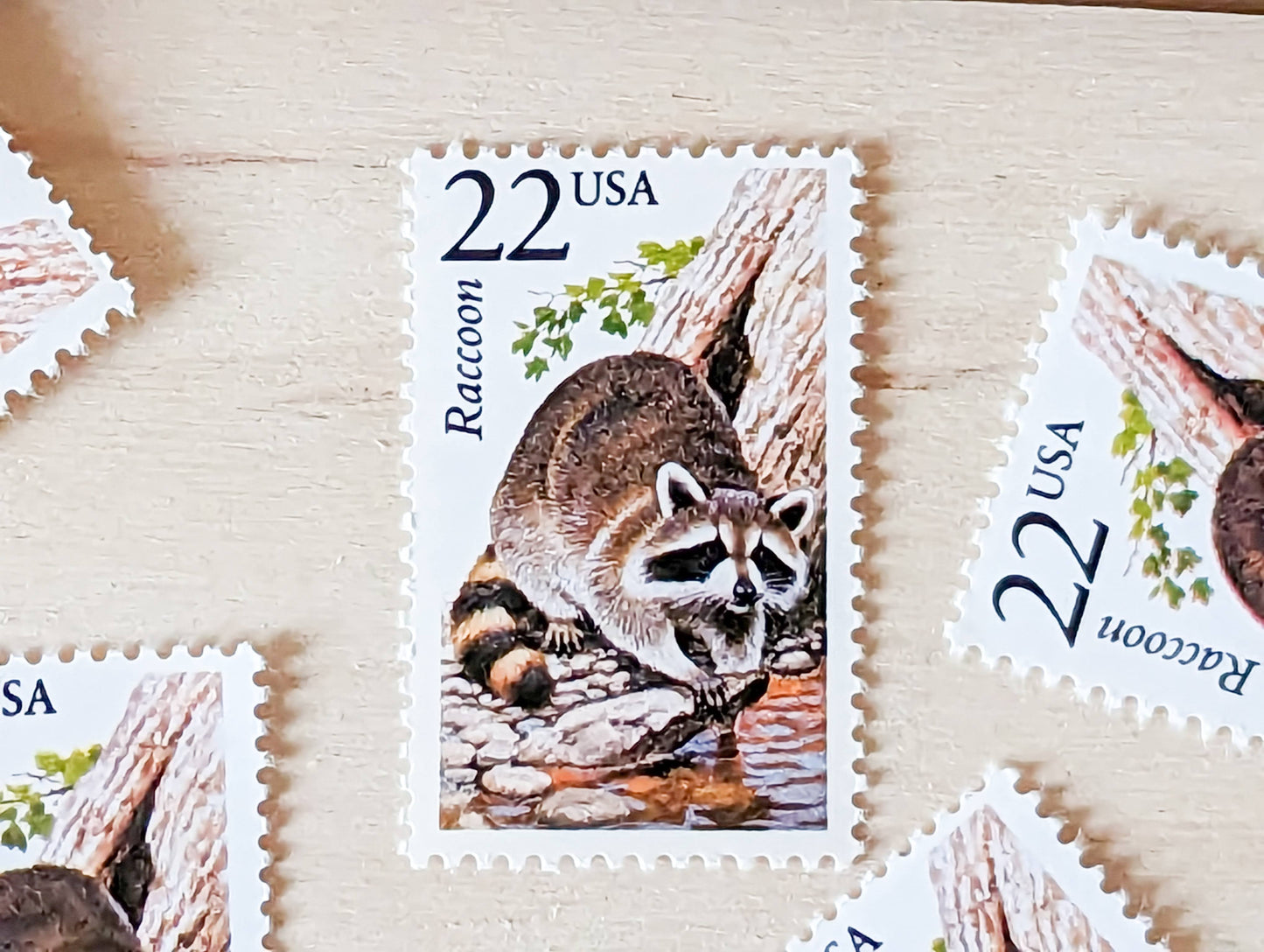 Raccoon, Set of 5, Vintage Unused USPS 22 Cent Postage Stamps, North American Wildlife Series 1987, Gummed