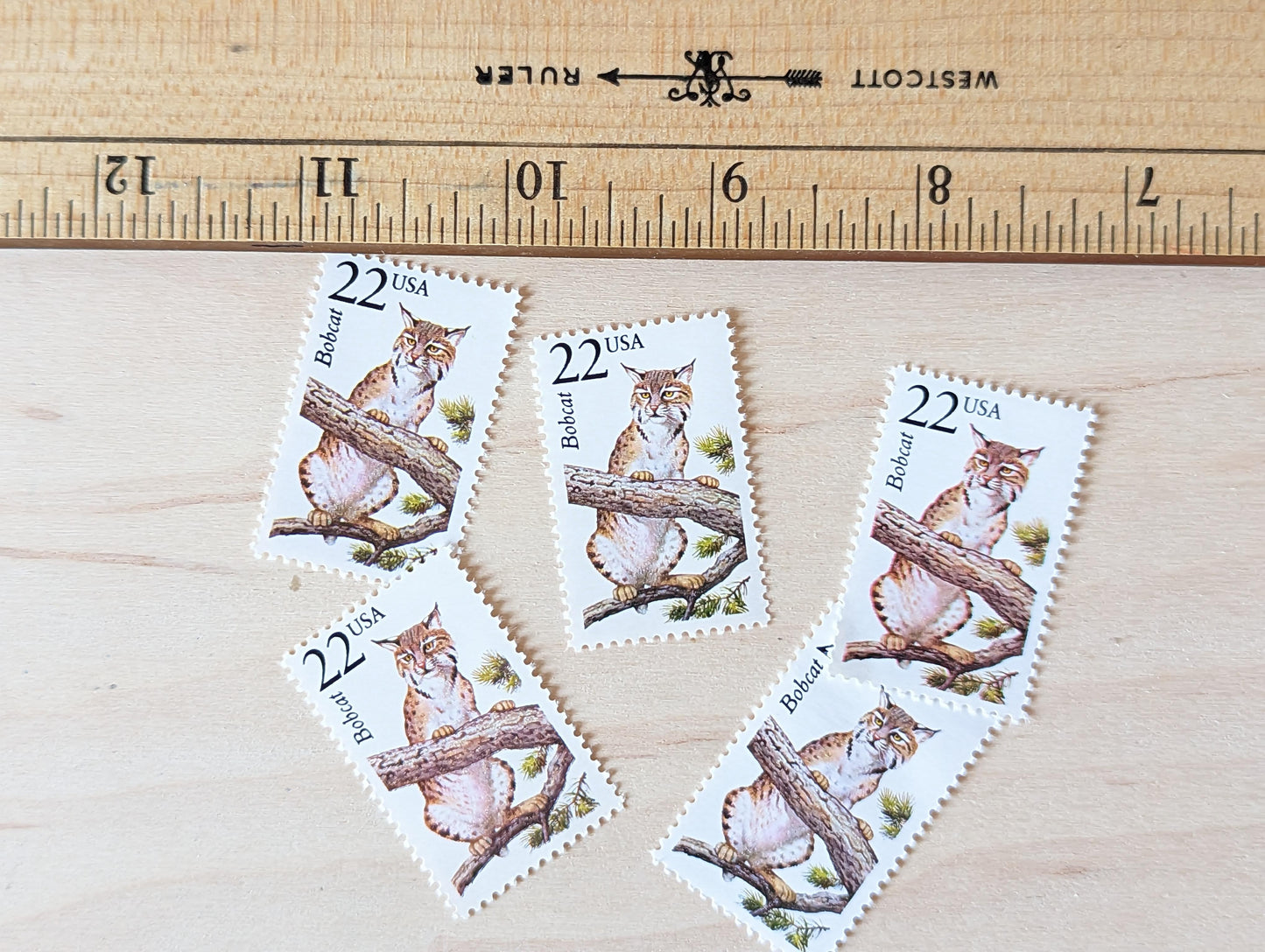Bobcat, Set of 5, Vintage Unused USPS 22 Cent Postage Stamps, North American Wildlife Series 1987, Gummed