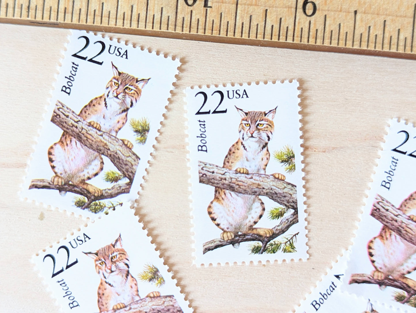 Bobcat, Set of 5, Vintage Unused USPS 22 Cent Postage Stamps, North American Wildlife Series 1987, Gummed