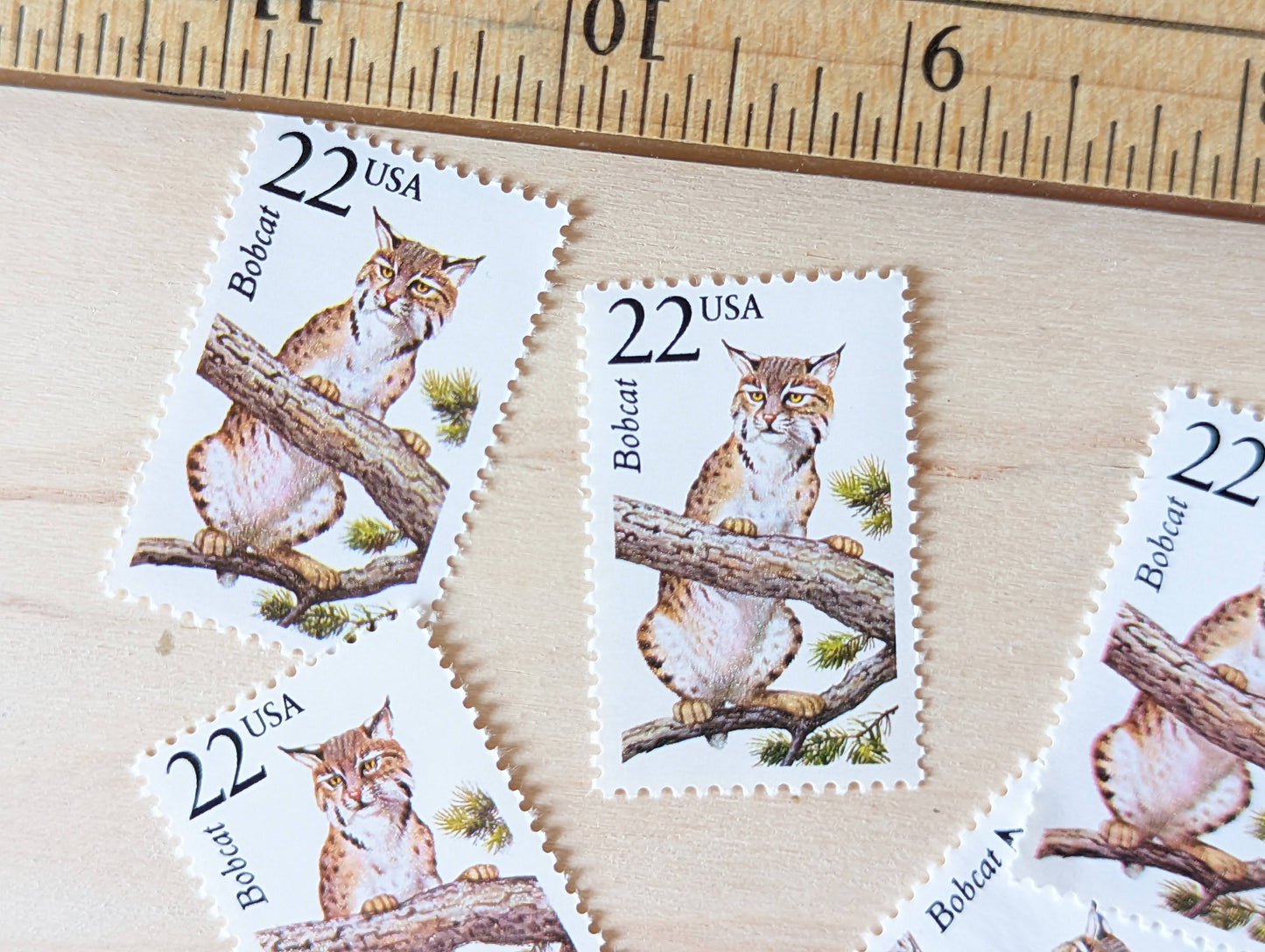 Bobcat, Set of 5, Vintage Unused USPS 22 Cent Postage Stamps, North American Wildlife Series 1987, Gummed