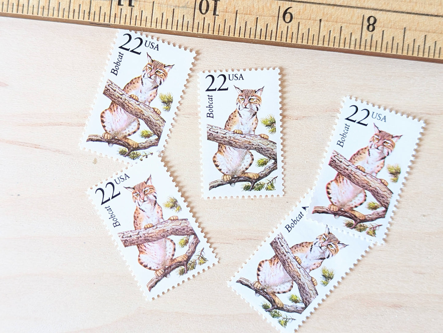 Bobcat, Set of 5, Vintage Unused USPS 22 Cent Postage Stamps, North American Wildlife Series 1987, Gummed