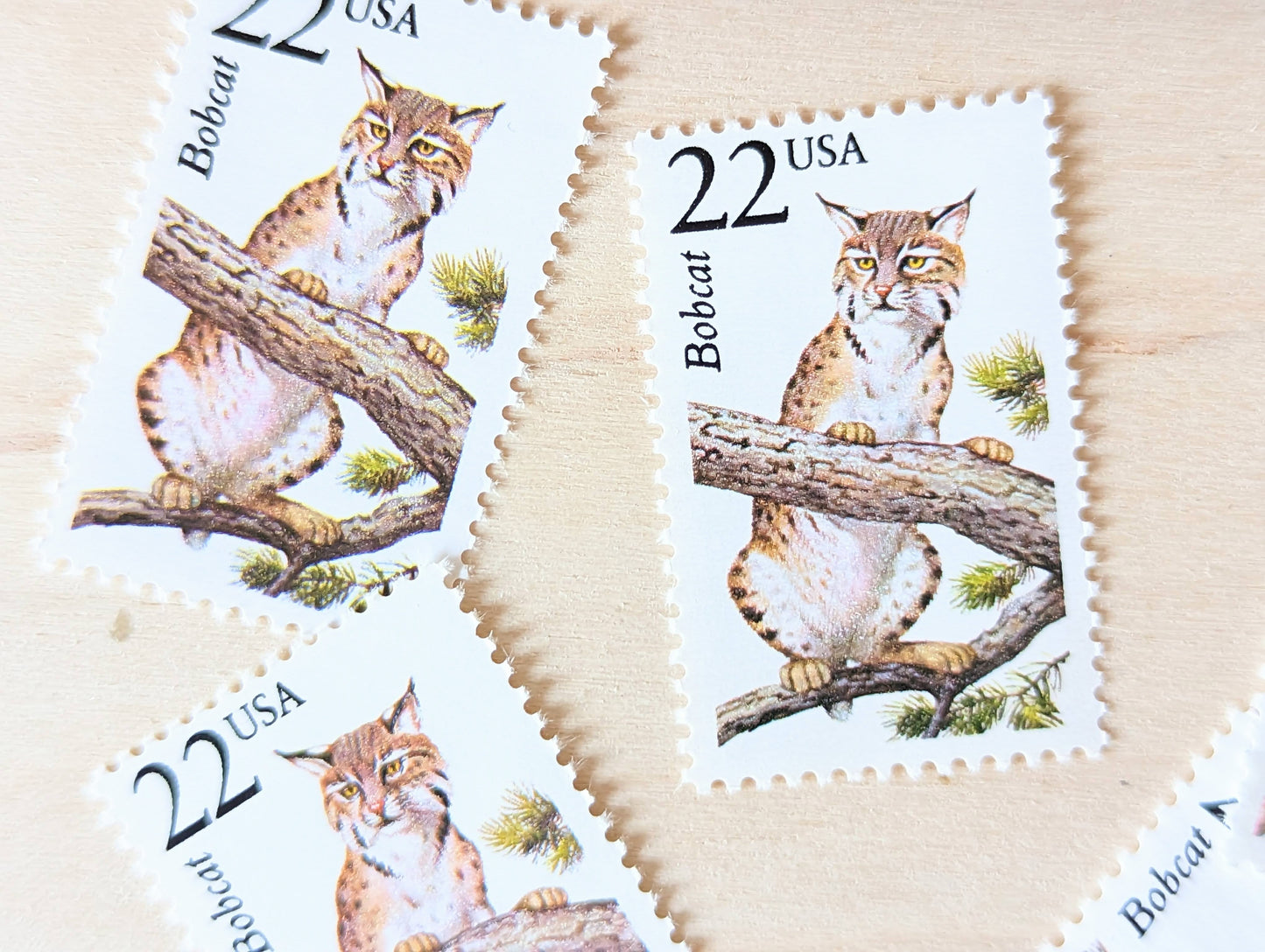 Bobcat, Set of 5, Vintage Unused USPS 22 Cent Postage Stamps, North American Wildlife Series 1987, Gummed