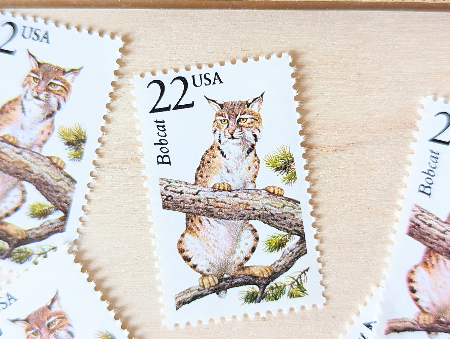 Bobcat, Set of 5, Vintage Unused USPS 22 Cent Postage Stamps, North American Wildlife Series 1987, Gummed