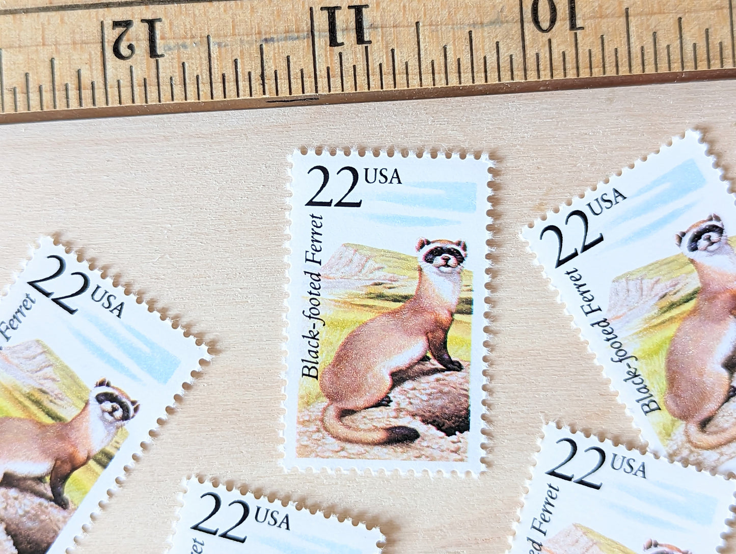 Black-footed Ferret, Set of 5, Vintage Unused USPS 22 Cent Postage Stamps, North American Wildlife Series 1987, Gummed