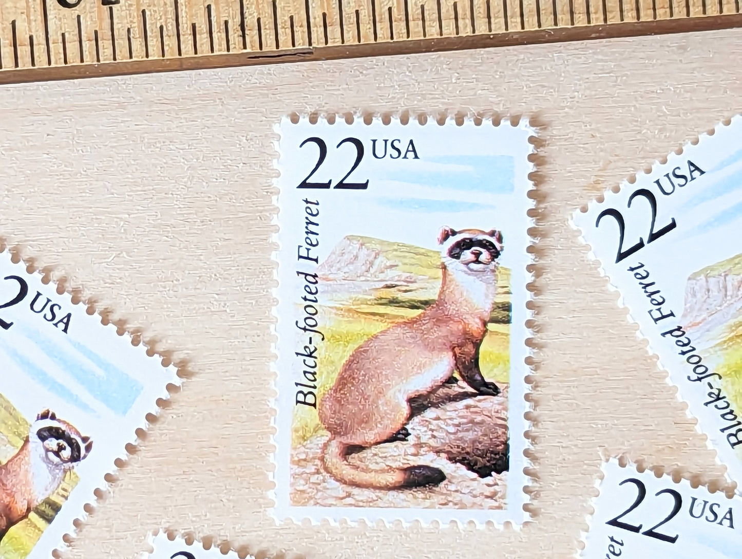 Black-footed Ferret, Set of 5, Vintage Unused USPS 22 Cent Postage Stamps, North American Wildlife Series 1987, Gummed
