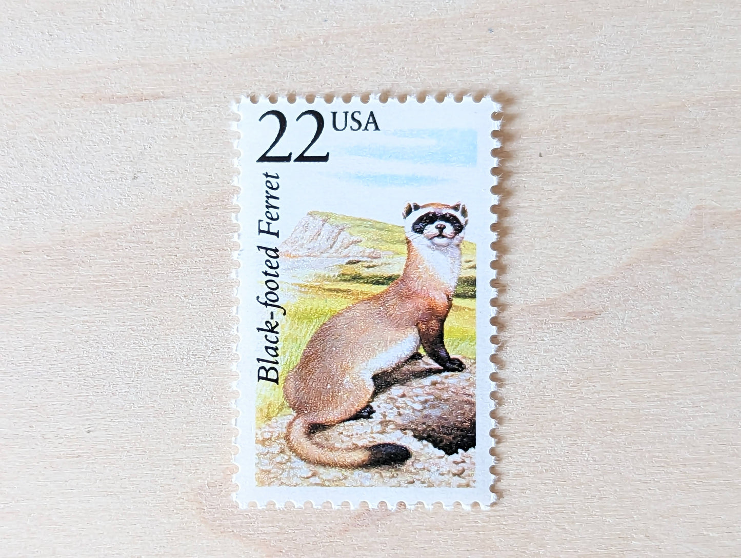 Black-footed Ferret, Set of 5, Vintage Unused USPS 22 Cent Postage Stamps, North American Wildlife Series 1987, Gummed