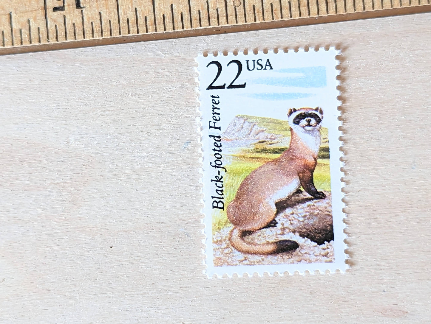 Black-footed Ferret, Set of 5, Vintage Unused USPS 22 Cent Postage Stamps, North American Wildlife Series 1987, Gummed