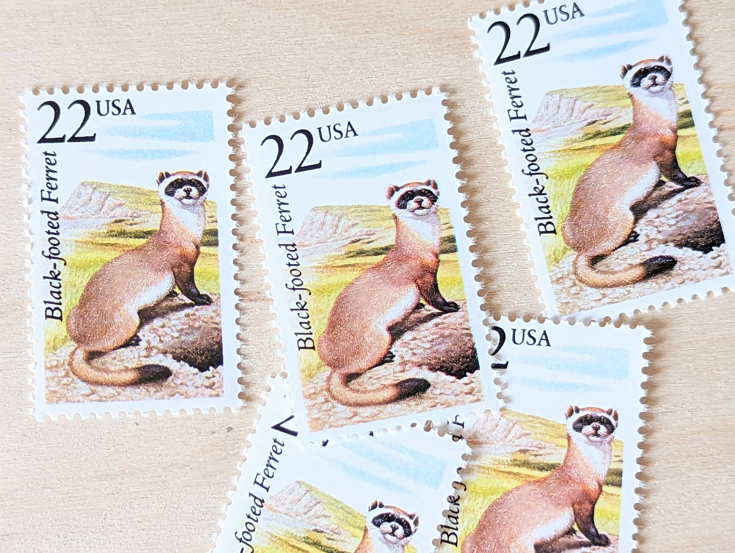 Black-footed Ferret, Set of 5, Vintage Unused USPS 22 Cent Postage Stamps, North American Wildlife Series 1987, Gummed