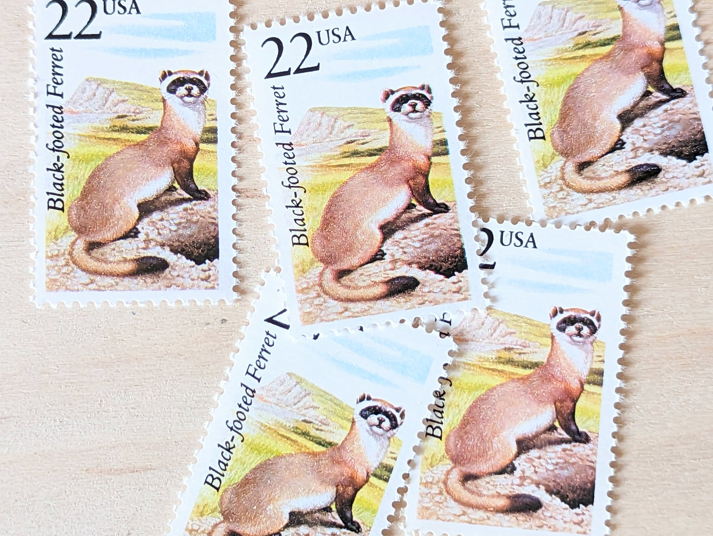 Black-footed Ferret, Set of 5, Vintage Unused USPS 22 Cent Postage Stamps, North American Wildlife Series 1987, Gummed