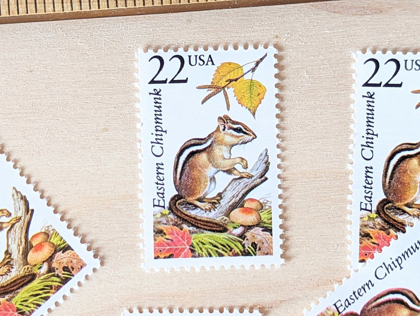 Eastern Chipmunk, Set of 5, Vintage Unused USPS 22 Cent Postage Stamps, North American Wildlife Series 1987, Gummed