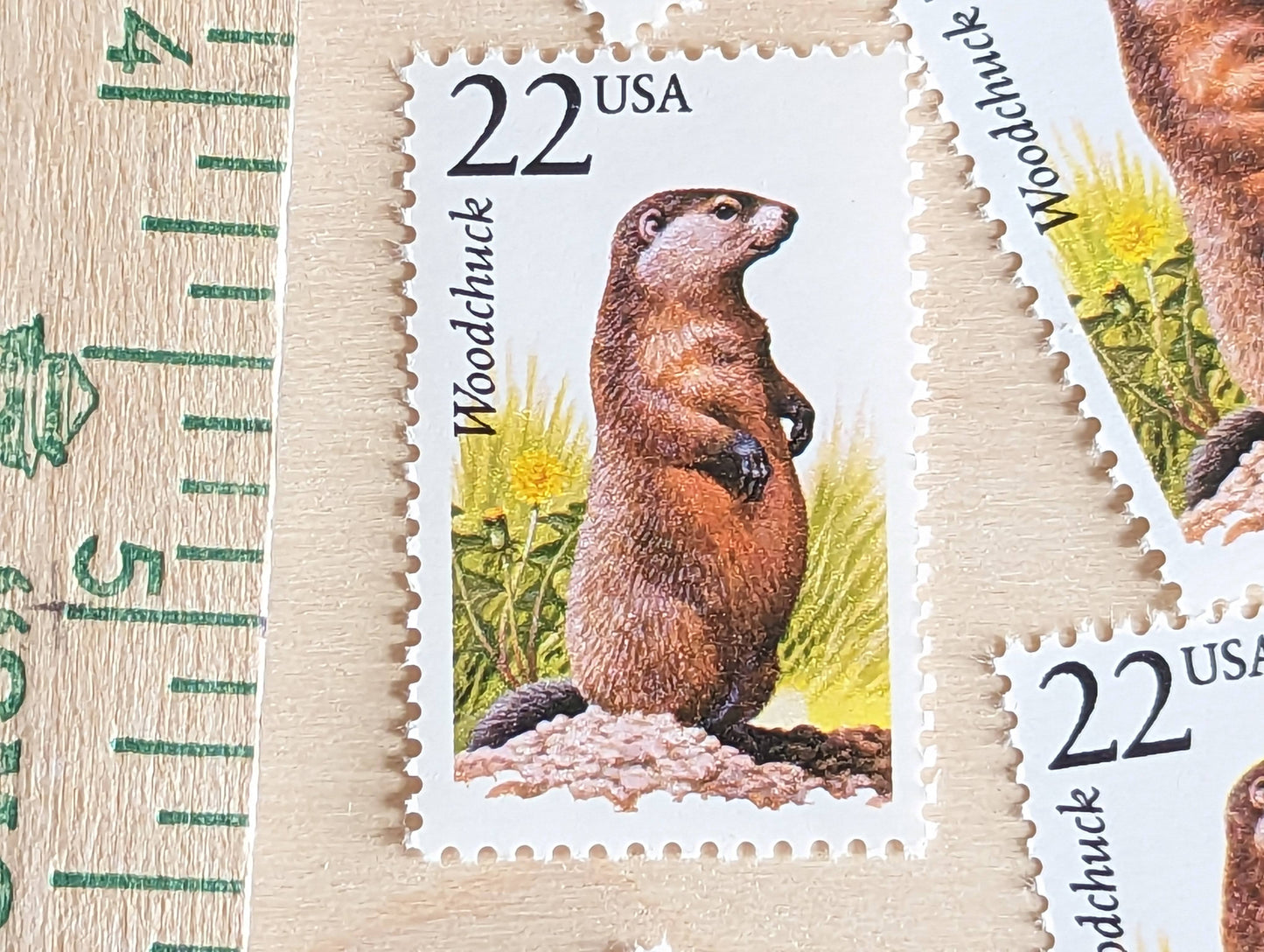 Woodchuck, Set of 5, Vintage Unused USPS 22 Cent Postage Stamps, North American Wildlife Series 1987, Gummed