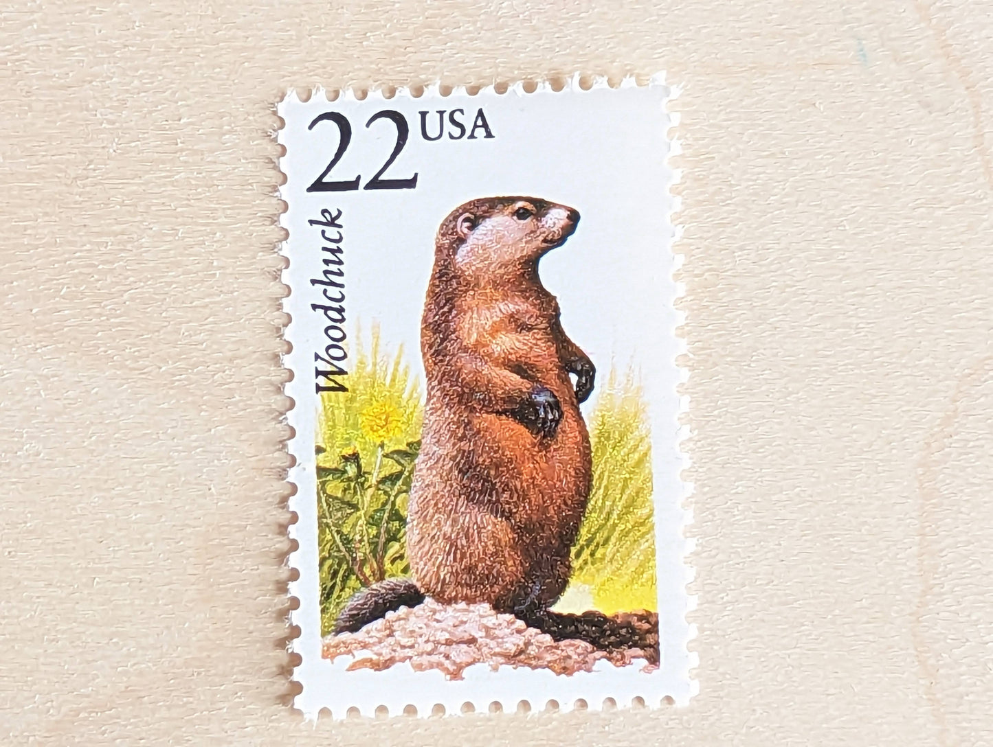 Woodchuck, Set of 5, Vintage Unused USPS 22 Cent Postage Stamps, North American Wildlife Series 1987, Gummed