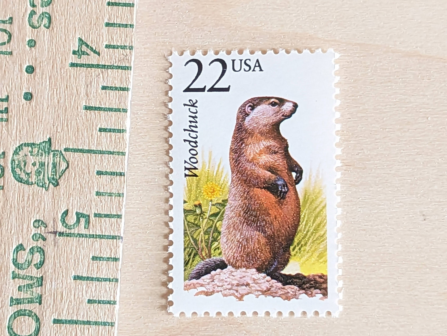 Woodchuck, Set of 5, Vintage Unused USPS 22 Cent Postage Stamps, North American Wildlife Series 1987, Gummed