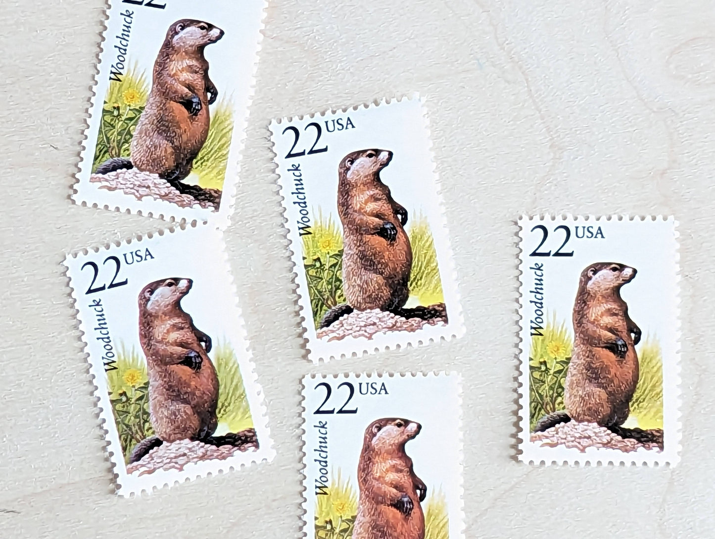 Woodchuck, Set of 5, Vintage Unused USPS 22 Cent Postage Stamps, North American Wildlife Series 1987, Gummed